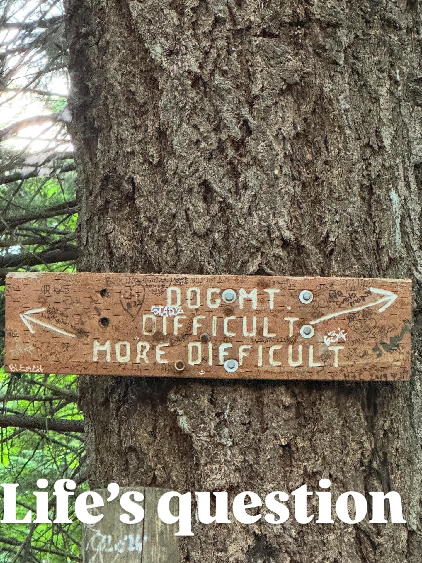 What path do you take?
It’s all going to be difficult in its own way…right?
Short term pain.
Long term pain.
Quick results.
Quick falls.
Paths you regret.
Paths you are grateful for.
What’s difficult to you may not be to someone else.
What’s not difficult to you may be the most difficult to someone else.
So what will it be?
For we need to keep moving forward….
https://www.skysthelimit.online
#healingjourney #myjourney #dogmountain #dogmountaintrail #path #whatpath #dogmountainhike #pain #healing #truth #innerwork #innerpain #innerstrenght #life #lifeofadventure #lifepath