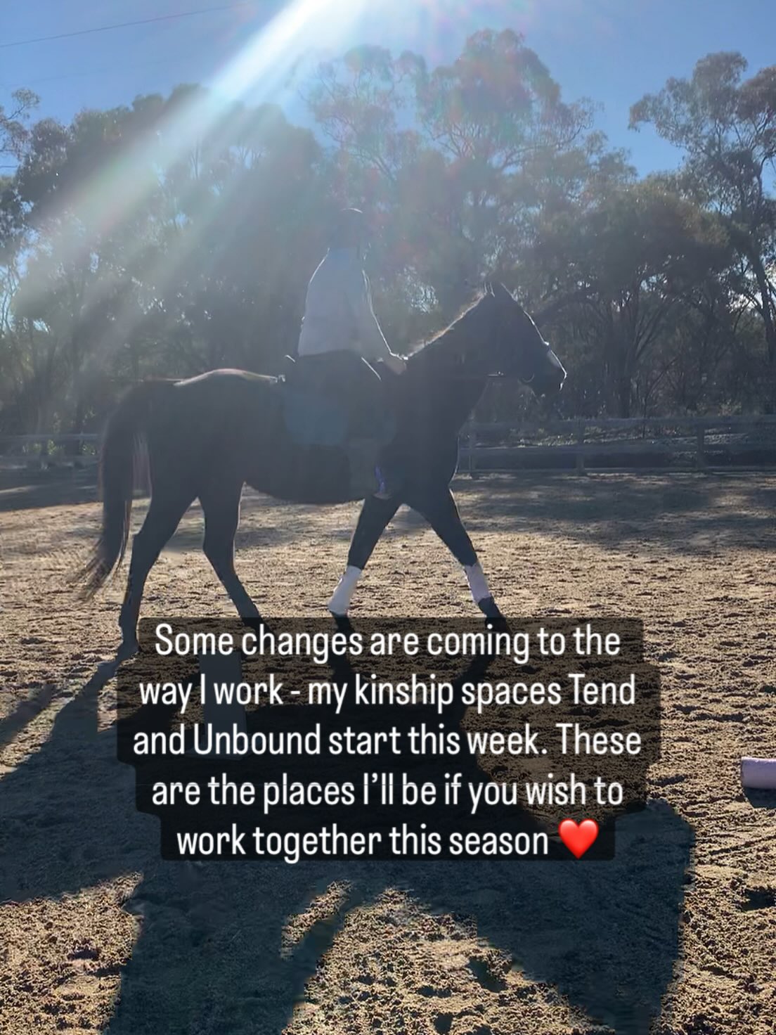 Things are shifting in my business as I adapt to the season — both in the world and in my own life.
For now, Tend and Unbound are the only ways to work with me. These small, intimate spaces are where I’m pouring my care, insight, and presence — they’re for those navigating complexity, change, and the call to live more true.
My 1-1 books including once off sessions are currently full, but I’ve opened a waitlist for anyone wanting to work together later in the year. I’m continuing to support existing clients who have already purchased sessions and super-vision folks with my whole heart, while creating more spaciousness for what’s to come.
If you’re feeling the pull to deepen your work, gather in good company, or tend to what’s emerging — now’s the time to reach out.
So we can together work with this season not against it.
🍃🍃🍃