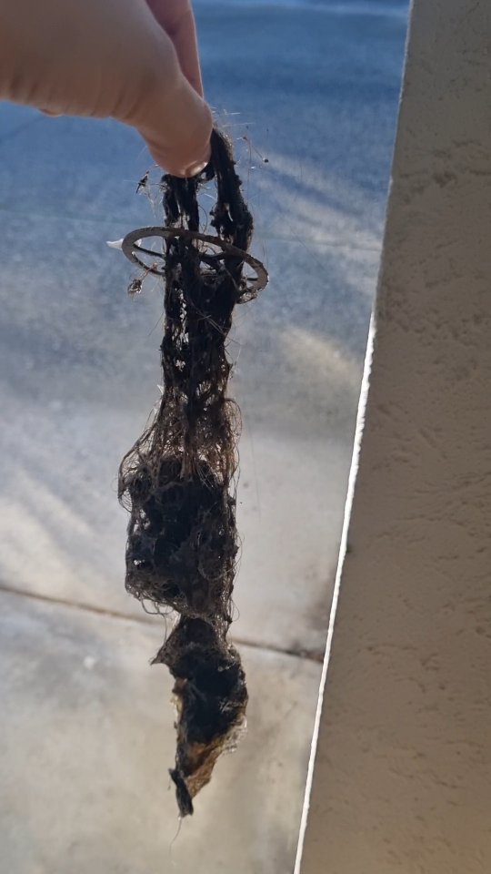 Or a creature of some sorts.... 😅
On a serious note, how satisfying?!
#cardamomclean #cleaningforall #perthcleaning #perthcleaningservices #housecleaning #cleaningperth #funny #hairball #instadaily