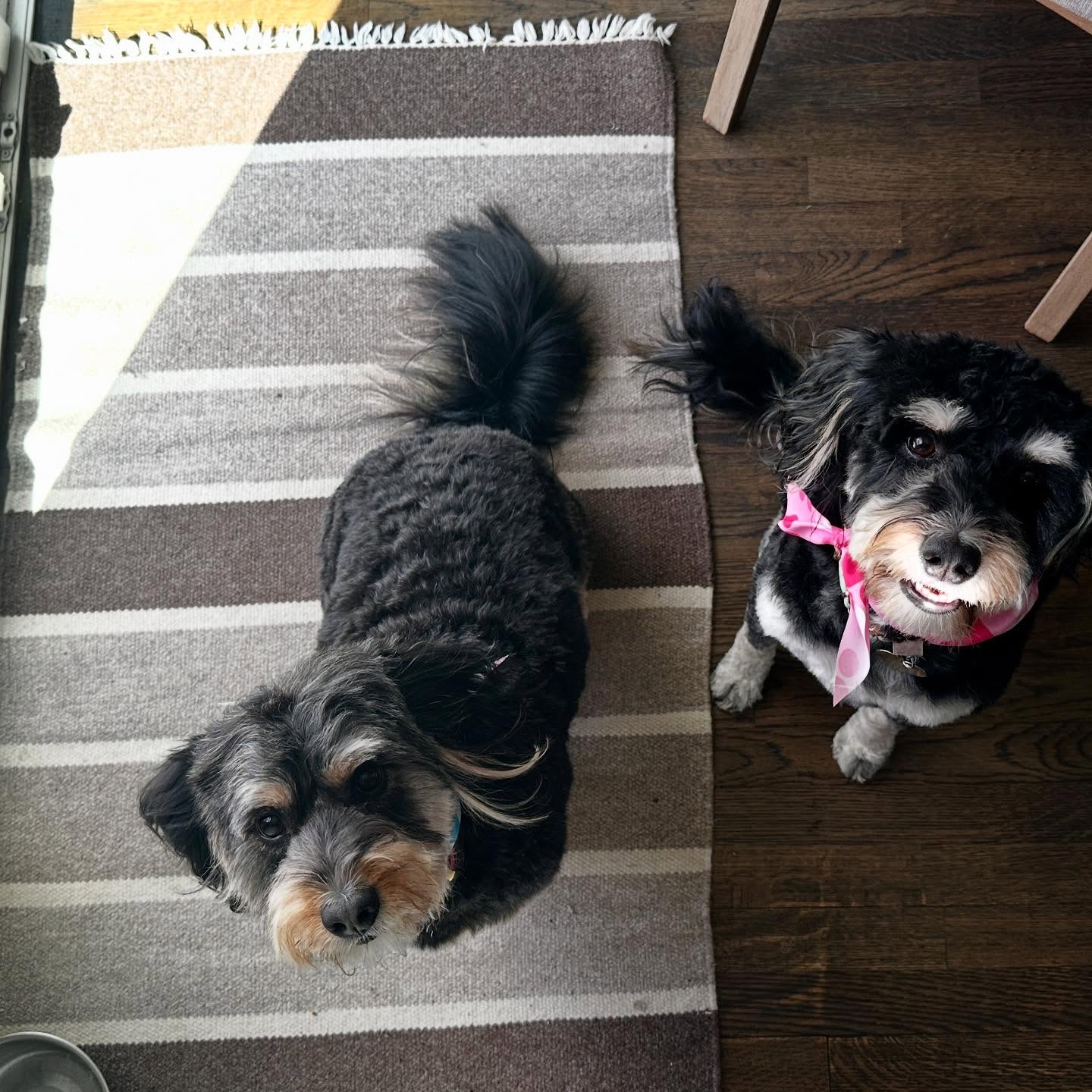 March โ25 ๐งก