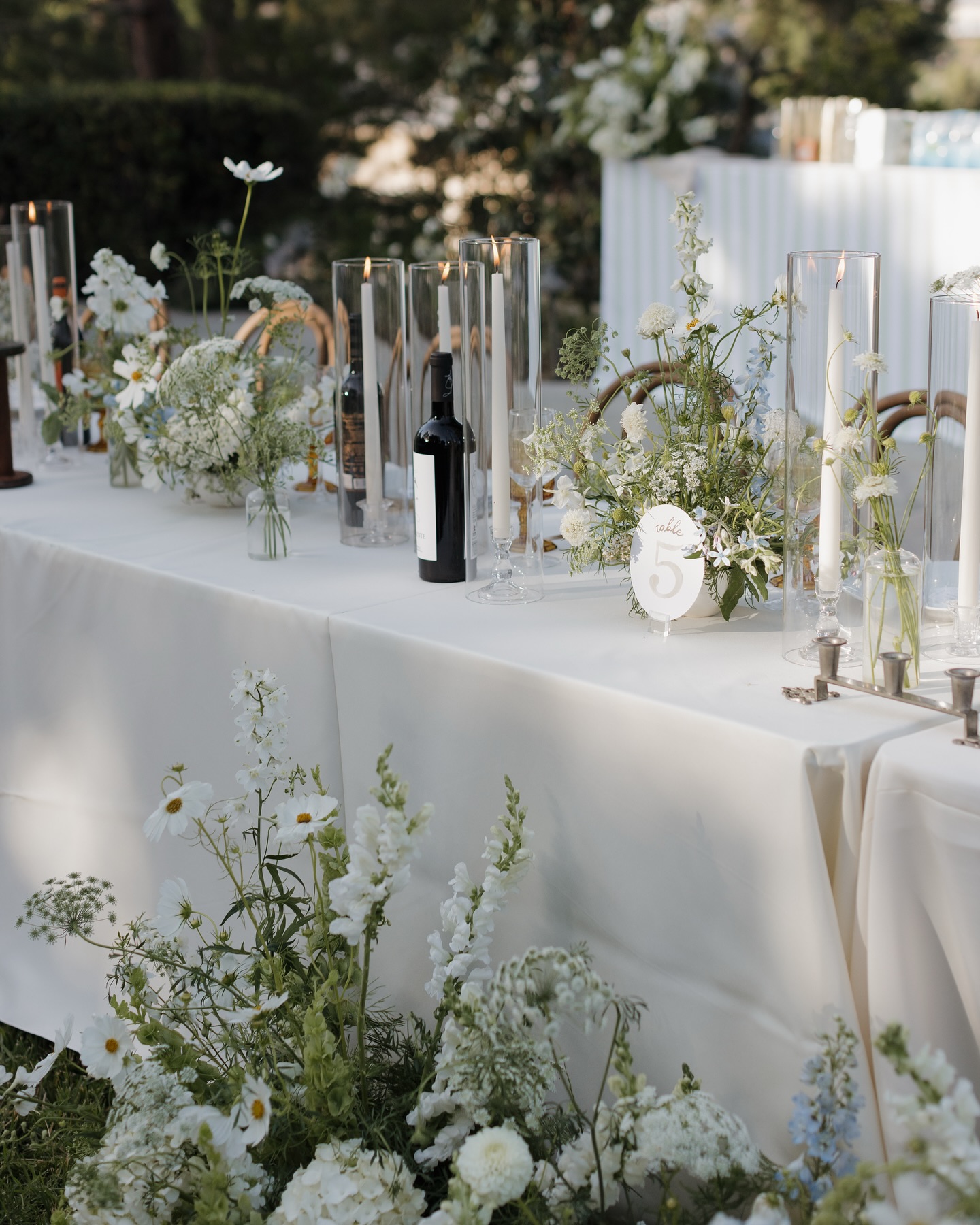 Chloe & Parker’s wedding in Tustin, CA on 06.20.25 was something really special. I had the honor of donating some signage and paper goods for their day, and I’m so grateful I could play a small part. It was such a joy to experiment with a few striped fabrics and mix in an oval-shaped table number—soft, whimsical, and unintentionally charming in the best way.
Getting to give back, especially for a couple like this, always reminds me why I love what I do. Wishing them all the love and magic as they begin this next chapter.
Wedding Planner: @sierrajamesevents
Photography: @ariele_photography
Videographer: @tannercastrofilms
Florist: @honeybloomflorals
Content Creator: @absocialstudio
Stationery & Signage: @honeylustco_
Rentals: @renowned.events
DJ: @secondsong_official
Cake: @rockwellscakes
Ice Cream Bar: @wildhoneyco._
Dessert: @hapabakeryoc
Photobooth: @dreamlightphotobooth
Champagne Tower: @sipandlookpretty
MUA: @omiglammakeup
Hair Stylist: @nadiarosebridalhair
Catering: @felicecatering
Tux: @friartux