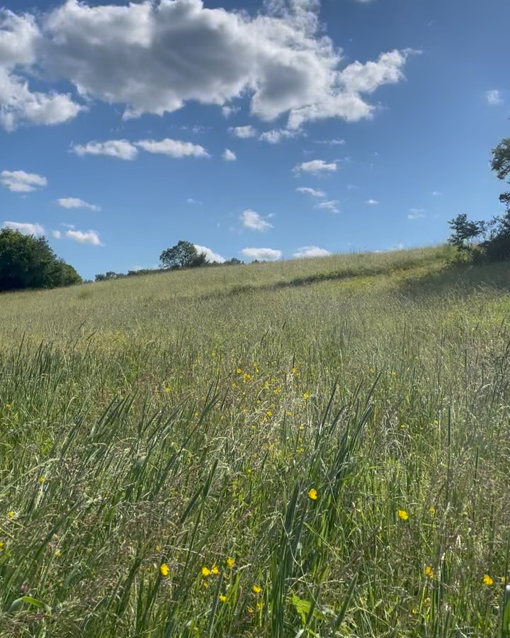 ☀️ June is for wide open spaces — and we’re soaking them up at the inn! 🌿
Wake up to a full made-to-order breakfast, starring Sean’s internationally known Eggs Benedict or fluffy buttermilk pancakes. 🥞🍳
Spend the afternoon floating down the Mad River — right to our doorstep (technically it's a rock)— and cool off in the inn’s private swimming hole. 🛶💦
As the sun sets, gather around the fire pit and take in a sky full of stars. ✨🔥
Escape the ordinary. Summer’s waiting. 🌻
#1824House #MadRiverValley #VermontInn #SummerEscape #EggsBenedict #benedict365 #comeforthemountainsstayfor1824house #vermontsky #openspaces
