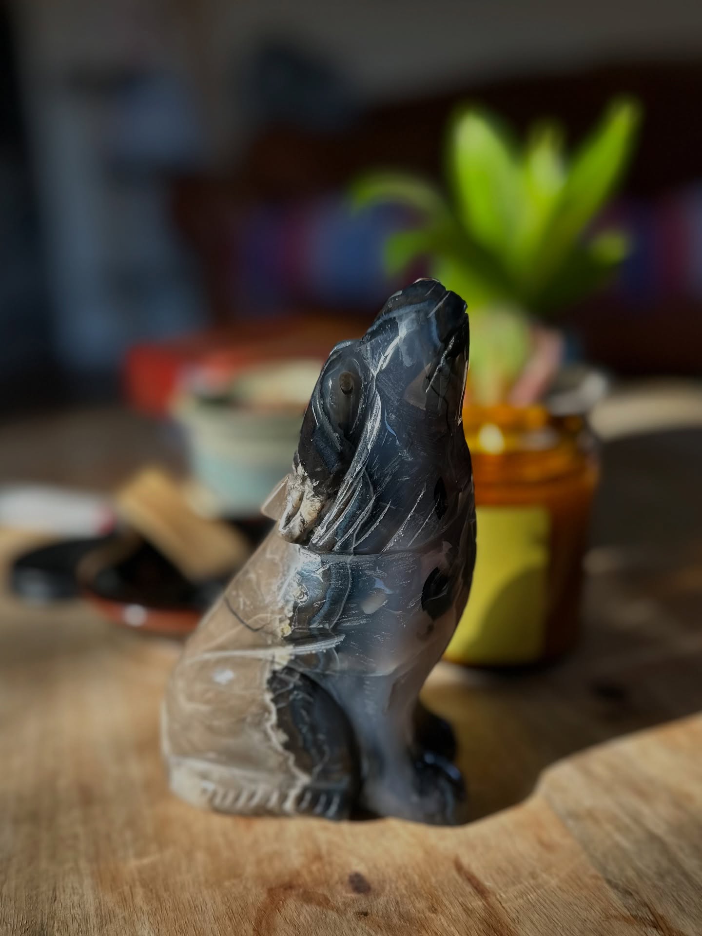 Song Dog ❨
Coyote 𓃦 trickster, shapeshifter, survivor.
A wild one with a thousand faces: playful and wise, irreverent and devoted, cunning and deeply loyal.
They slip between worlds with ease ⟡ part shadow, part light ⟡ reminding us that transformation is rarely linear and never clean.
Coyote teaches that the path to healing often winds through humor, humility, and the courage to face our contradictions.
They challenge what’s stagnant, expose what’s hidden, and invite us to stay open when things fall apart.
But they are also the ones who endure.
Adapting to drought, development, fire, and fence, the Song Dog survives where others flee.
They raise close-knit families, teach their young, and sing to the night together.
There is love, structure, and fierce devotion beneath the mischief.
Coyote has been a guide and part of my shape shifting for a long time. Gifts honoring coyote are always so very special. This one was for my birthday ⟡
At Song Dog Studios, we honor this layered spirit ⟡ not just the wild trickster, but the rooted one.
The teacher who leads us back to ourselves with laughter, ink, and ceremony.
The artist who shows us that wholeness includes the messy, the beautiful, and the in-between.
🌀 To the original storyteller of these lands—we hear your song.
And we sing back. With reverence. With art. With heart.
XO
Iris ⟡
#SongDogStudios #CoyoteMedicine #TricksterArchetype #ResilientCreativity #WildWisdom #ShapeShifterSpirit #CeremonialTattoo #SacredInk #MythicArt #FamilyOfTheWild #NatureAsGuide #HealingThroughSymbol