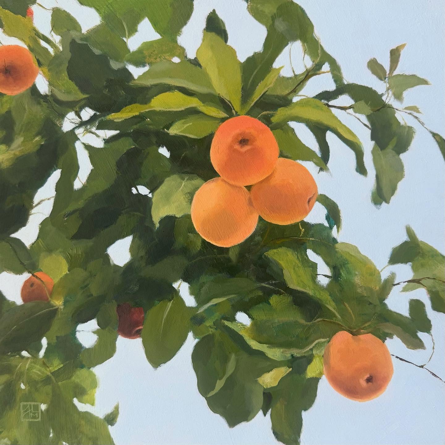 New work available at @utahartmarket ‘s 135 show June 14. 12x12 oil on panel.
These are little crabapples on my neighbor’s tree. I think. I never asked the neighbors what they are ;)
#oilpainting #utahartmarket #littleapples #artcollector #artshow #contemporaryart