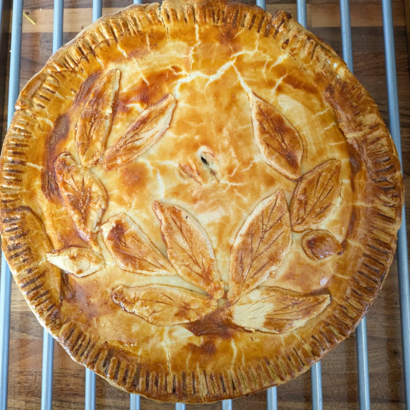 A sneaky peak at tomorrows long table lunch at the @britishwildfoodfestival 👌😍🙌
The forecast may take my Feast in the Forest to a drier location but hopefully you won't notice as you'll be staring at the food instead 😆🤫☔
I can take a few more people if anyone wants to grab a ticket!