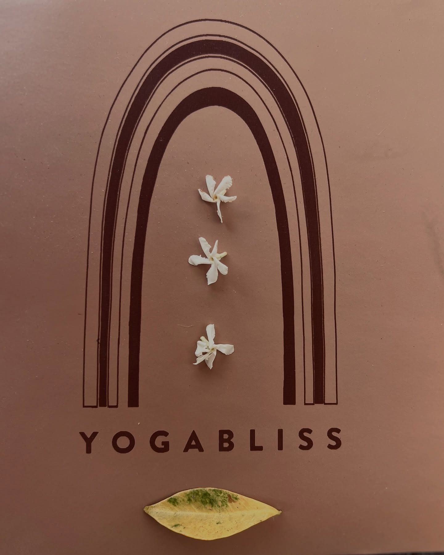 Are you more Matcha or Mocha? ☕🍵
Either way… the new yoga mats have landed! ✨🧘♀️
I’m so happy to share this capsule collection of yoga mats I designed — created to support your practice with alignment marks for your asanas and a non-slip grip (because activating your bandhas properly starts from the ground up ).
💯 of those who tried it loved it so much… they bought a second one!
📩 DM me to get yours!
#YogaMat #SacredPractice #YogaTools #AsanaAlignment #MindfulMovement #NonSlipMat #YogaWithIntention #MatchaOrMocha #yogamats