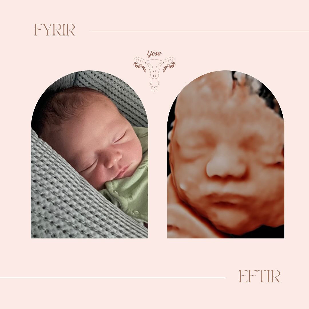 Elska að fá þessar fallegu myndir frá ykkur 💙
Hér er nýjasti vinur Ljósu, velkominn í heiminn ✨