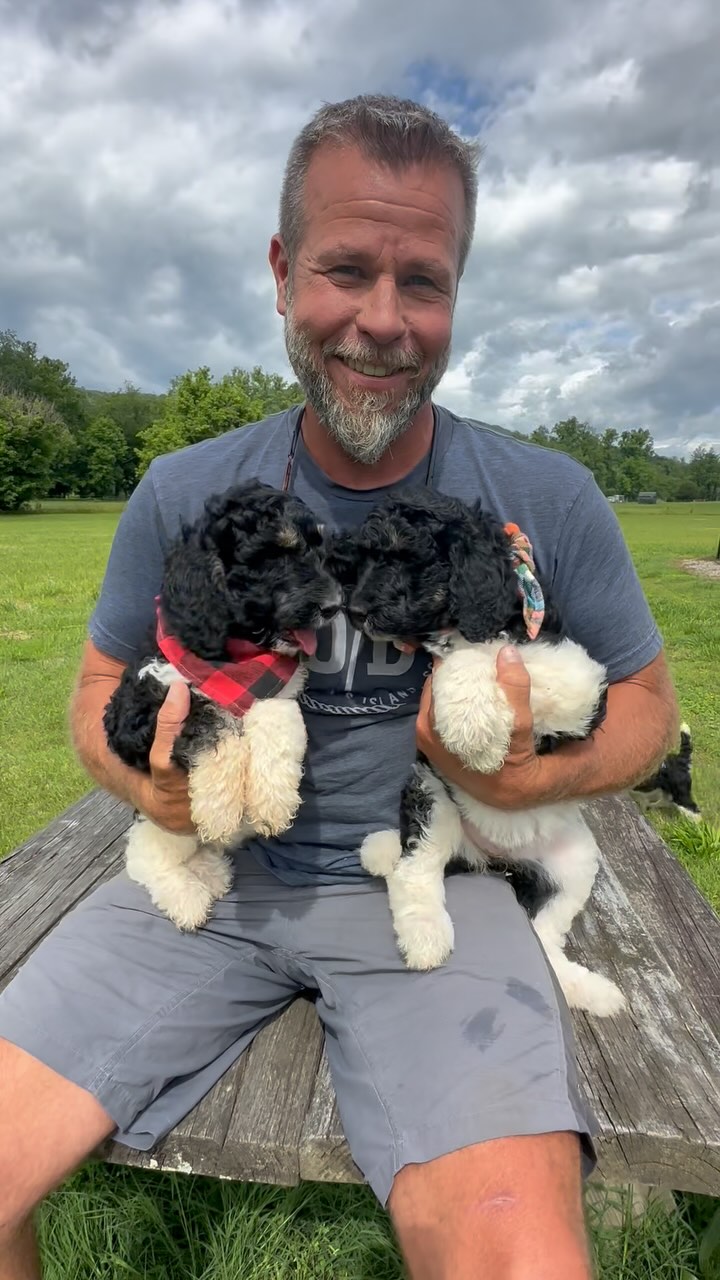 Duplin🩷& Forsyth💙