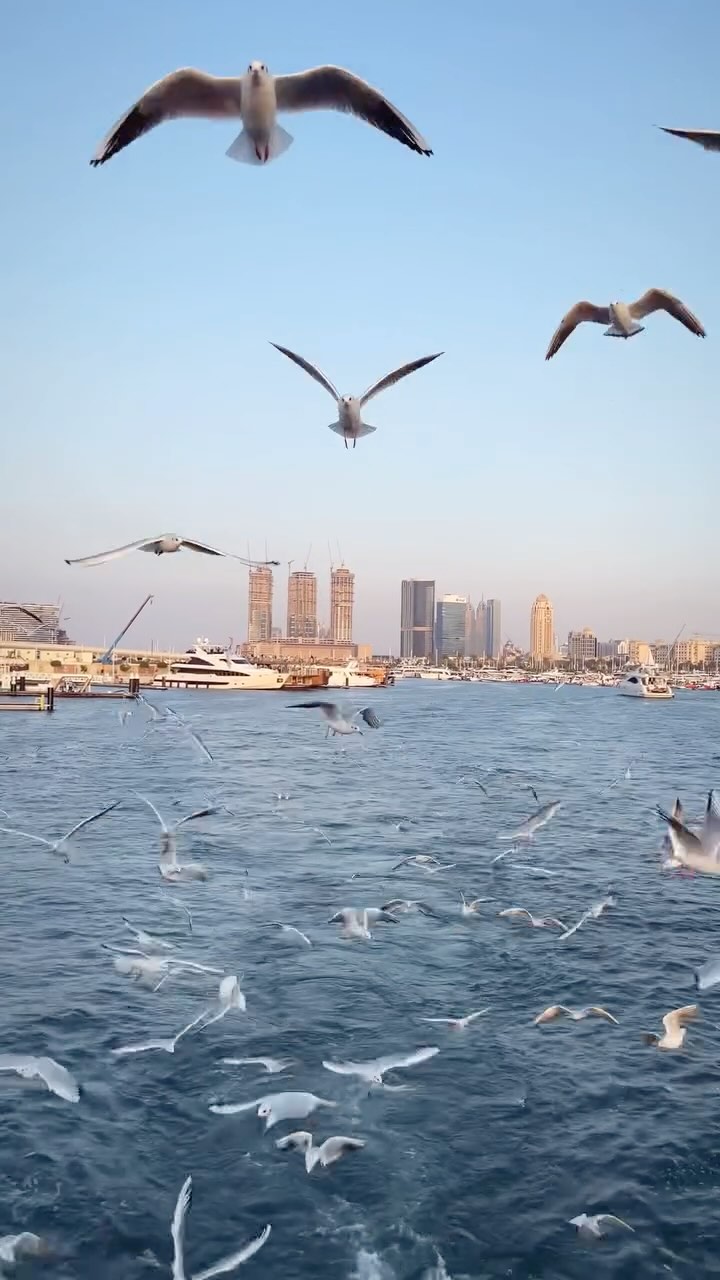 “If you could sit with your younger self today….”
It may be a cliché, but if you could meet your younger self today, what advice would you give? What fears would you encourage yourself to let go of, now that you recognize your true potential?
What life-changing decisions would you suggest making, and what significant leap of faith do you believe could alter the course of her/his life?
#lifecoach #mindset #transitioncoach #holisticwellnesscoach #nlp #wellness #mentalhealth #almawellbeing