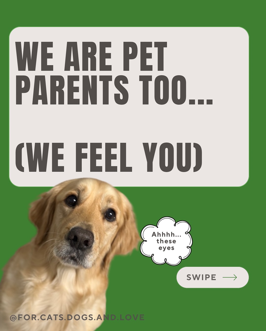We are pet parents too so we feel your worry - that’s why we can understand you! Our team consists of trained professionals that can identify any emergency to take the appropriate action. Problem solved! 💚