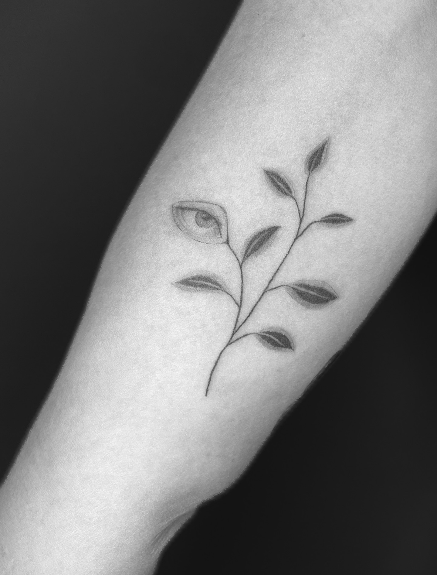 augenblümlein abgeheilt (mit mini touch ups im grau)
merci sabrina
#finelinetattoo
#planttattoo
#floraltattoo
#botanicaltattoo
#lineworktattoo
#tattooinspo
#tattoostyle
#handpoke
#handpoketattoo
#stickandpoke
#tattoostuttgart
#stuttgarttattoo
#stuttgartartists
#stuttgartkunst
#weimartattoo
#erfurttattoo
#jenatattoo