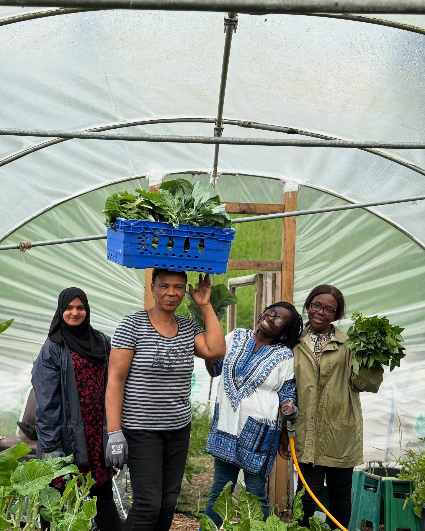 🌱 Women Growing Together 🌍
Meet the incredible women behind the greens! 💚 From harvesting to watering, our amazing volunteers bring life, laughter, and love to our International Garden in Cork. 👩🏾🌾👩🏽🌾🌿
This space thrives because of their strength, diversity, and teamwork. Here’s to community, culture, and fresh veggies! 🥬🌸#InternationalGarden #WomenWhoGrow #CorkVolunteers #CommunityGarden #SustainableLiving #GrowTogether #DiversityInBloom