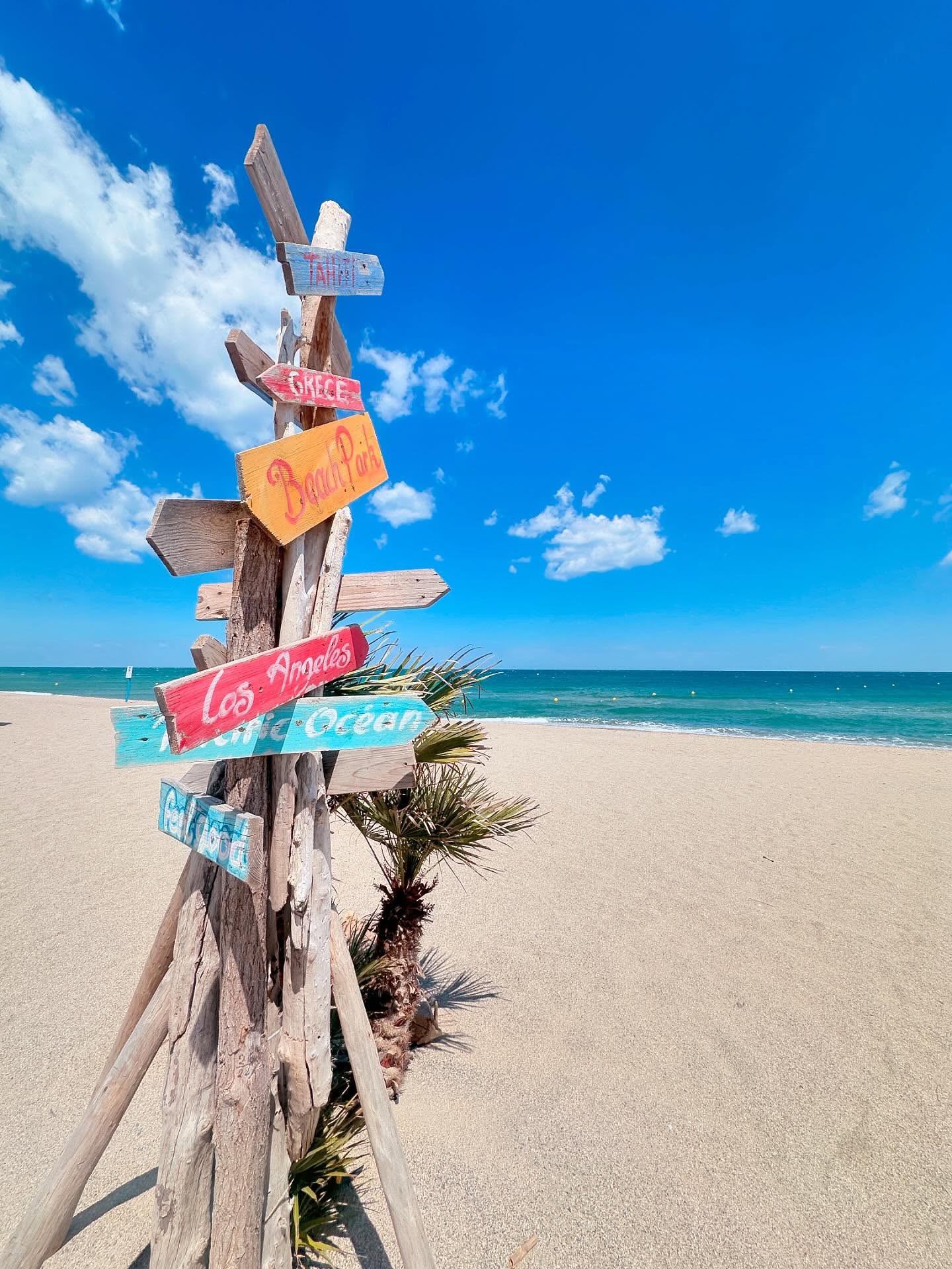 🌴 Envie de voyager sans quitter Argelès ?
Direction le Hawaï Club ! ☀️
Ambiance détente, plage, et soleil au rendez-vous.
On vous attend !