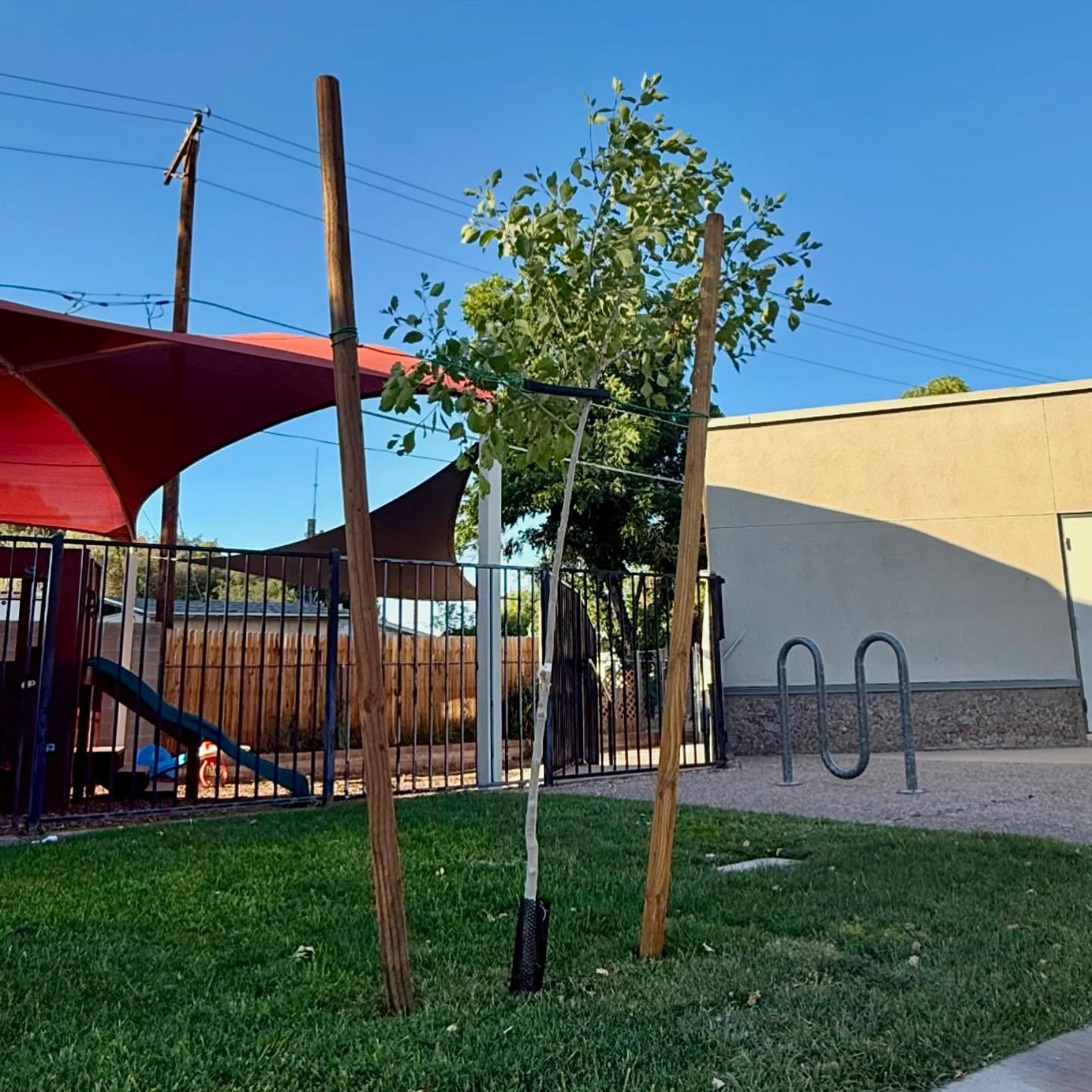 🌿✨ Fresh install alert!✨🌿
We just wrapped up a full transformation with:
🪴 New plants
🌳 Tree installations
🌱 Fresh turf
🧱 And clean concrete work!
From softscape to hardscape — it’s all coming together beautifully 🙌
Another outdoor space upgraded and public ready!
#LandscapeInstall #FreshTurf #TreePlanting #ConcreteWork #CurbAppeal #HOALandscape #ArizonaLandscaping #BeforeAndAfter #GreenGoals #propertyglowup