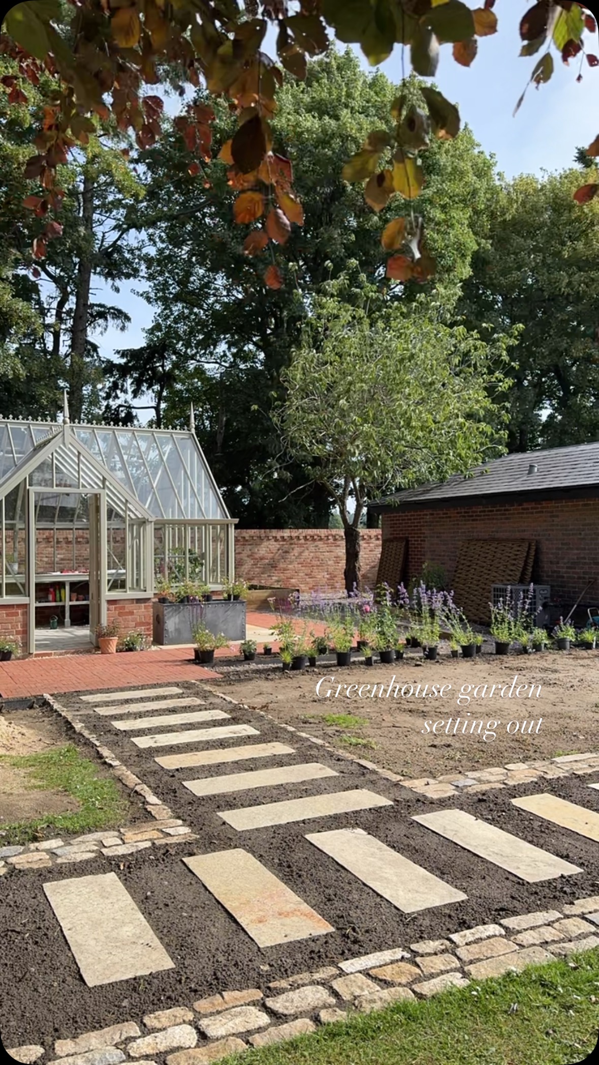 Happy morning setting out plants for our greenhouse garden project. The front borders set the green house into context as well as doubling as cutting borders. #greenhousegarden #alitexgreenhouse #cuttingborders #productivespaces #lovemyjob #fiboylegardendesign