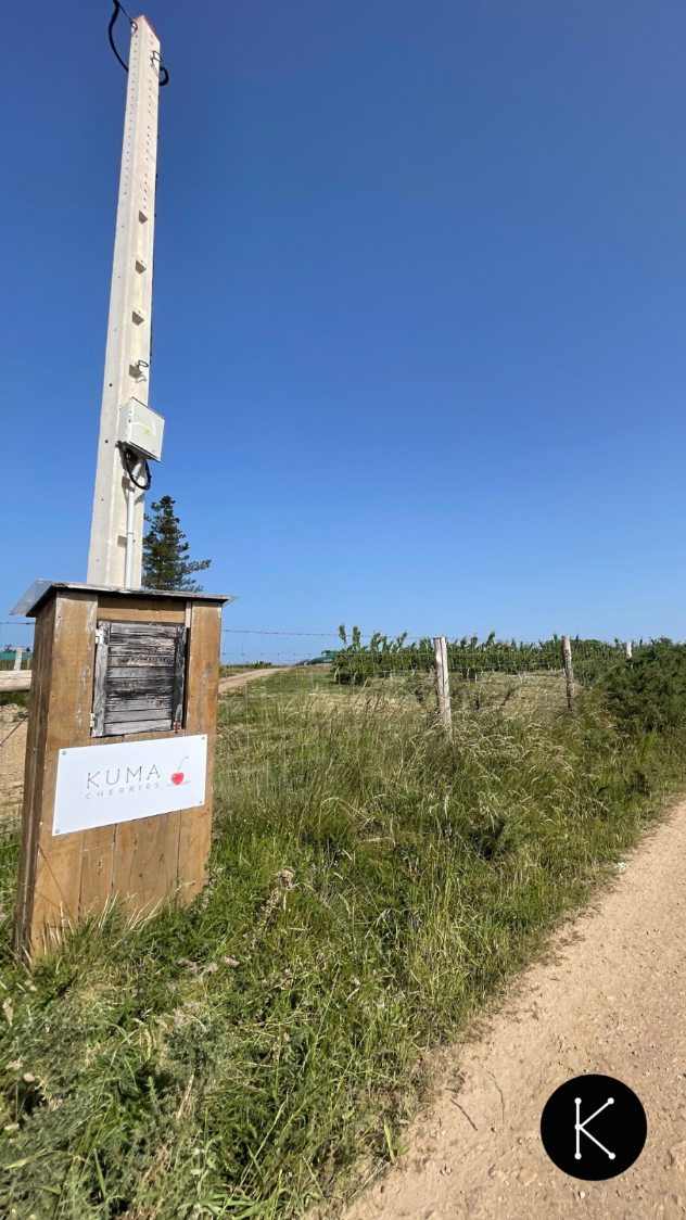 Si, por casualidad, te acabas de encontrar con este cartel... que sepas que has llegado a la cuenta de la primera plantación profesional de cerezas de Asturias: Kuma Cherries.
📍Estamos en Linares (Allande), en el corazón el suroccidente de Asturias.
🍒 Si quieres seguir conociéndonos, en esta cuenta te contamos cómo es el día a día en nuestra plantación, cuándo y dónde encontrar nuestros productos, curiosidades sobre el cultivo de la cereza o nuestras próximas actividades.
#KumaCherries #allande #Linares #Asturias #ProductosdeAsturias #Agricultura #Cerezas #zreizas #cerezos #PlantaciónDeCerezos