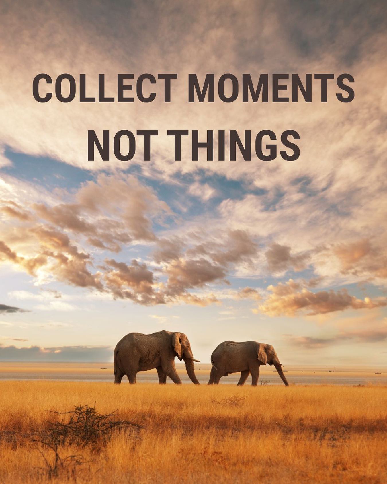 Wilderness, wide open skies, and the rhythm of the savanna-Kenya fills your soul in ways you never saw coming. #lifesparkinternational #forceforgood