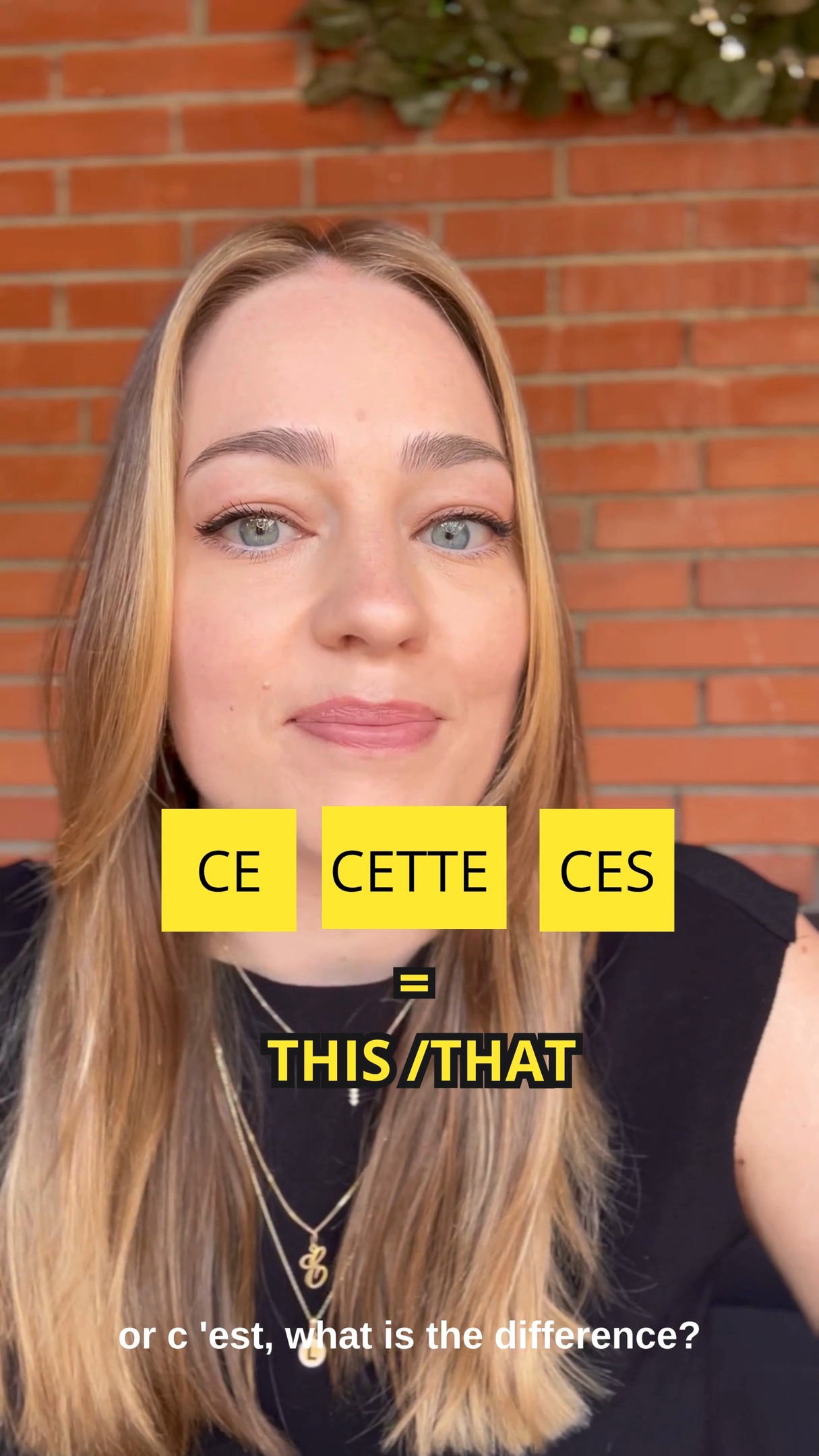 Ce, cette, ces... what's the difference?" 🤯 If French demonstratives confuse you, you're not alone! Let's break them down together in a fun and simple way. 🧠🇫🇷
Master these tiny words that make a BIG difference in your French fluency! 💬✨
👇Watch, learn, and tell me in the comments: which one always trips you up?
#learnfrench #frenchgrammar #frenchforbeginners #françaisfacile #FrenchTips #demonstrativeadjectives #frenchlanguage #reelfrench #fle #frenchteacheronline #studyfrench #frenchlearning #languagetips