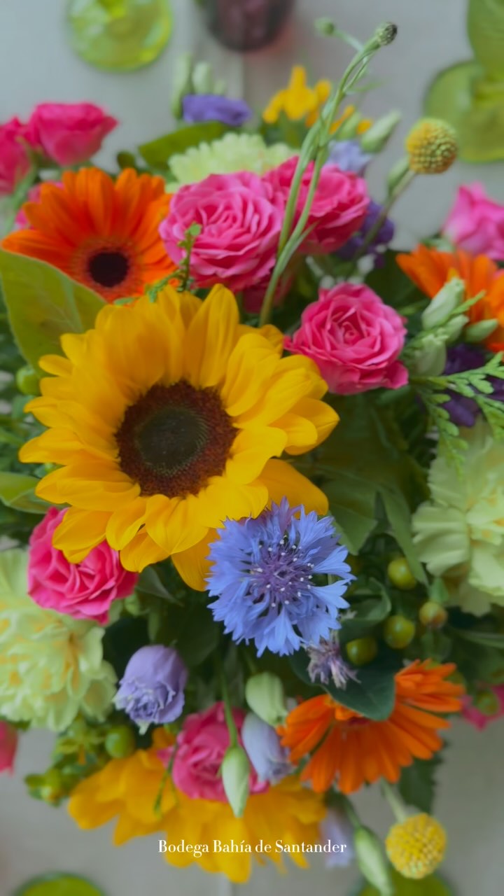 ✨ Un día muy especial en nuestra bodega ✨
Celebramos una primera comunión llena de emoción, detalles pensados con cariño y, por supuesto, un entorno inigualable: el mar como testigo.
Decoración con mimo, sonrisas auténticas, familia, amistad… y la luz de la bahía acompañando cada momento. Gracias por confiar en Bahía de Santander para un día tan importante. Seguimos creando recuerdos únicos. 💙
#bahíadesantander #primeracomunión #eventosconencanto #vistasalmar #cantabria