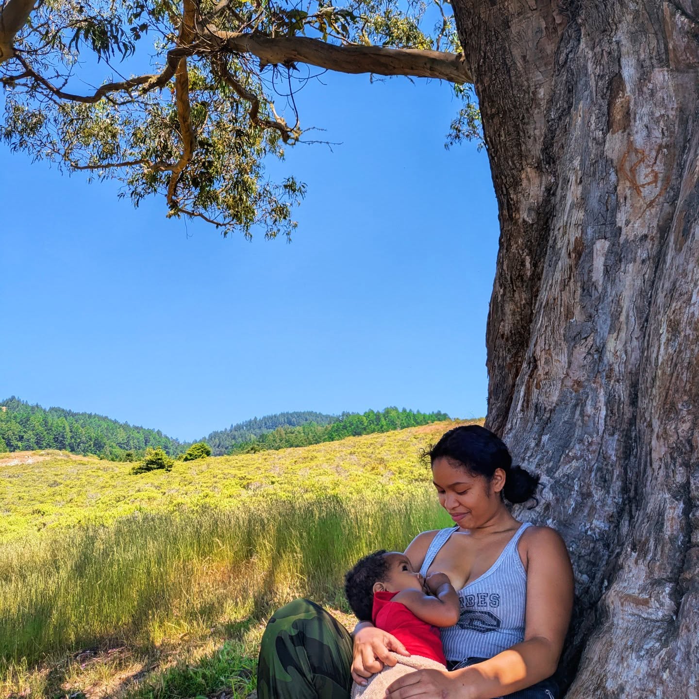 if anyone needs me, i'll be off breastfeeding under a shade tree 💕