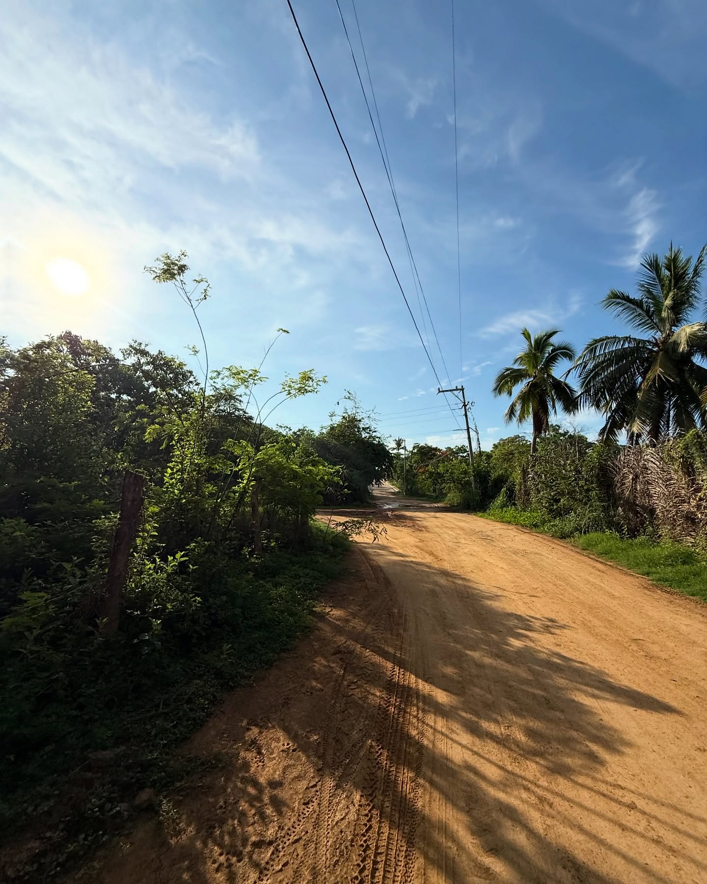 Sunny, muddy, green, rugged, and a little sloppy.
Just the way I like it.
Give me messy over manicured any day.
#SaltyLuxeAdventures #TravelDiaries #DirtRoadDreams #BougieButBarefoot #EdgeAndEase #RawAndRadiant #RealOverPerfect #NomadVibes #TropicalTrashyClassy #wanderwithsoul