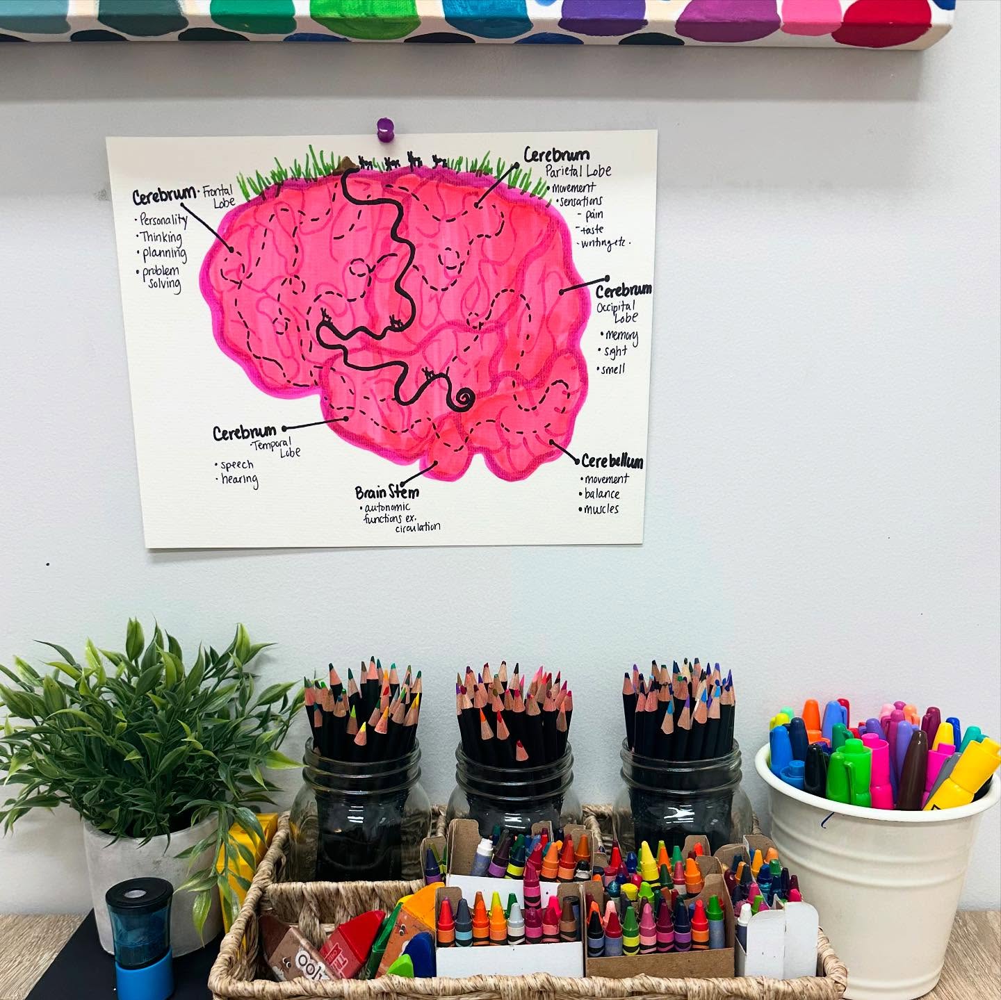 Understanding neural pathways through an ant hill metaphor 🐜🧠🎨
Anyone who knows me knows how much I love ants, so this felt like the perfect fit for breaking down the basics.
Just like ants wear down paths as they travel, our thoughts & actions do the same in our brains. The more we think or do something, the stronger that pathway becomes. And just like ants can build new tunnels, our brains can build new pathways too 💪🏻🧠with time, practice, and intention ✨
#neuroplasticity #arttherapy #antwisdom #wisdomofnature