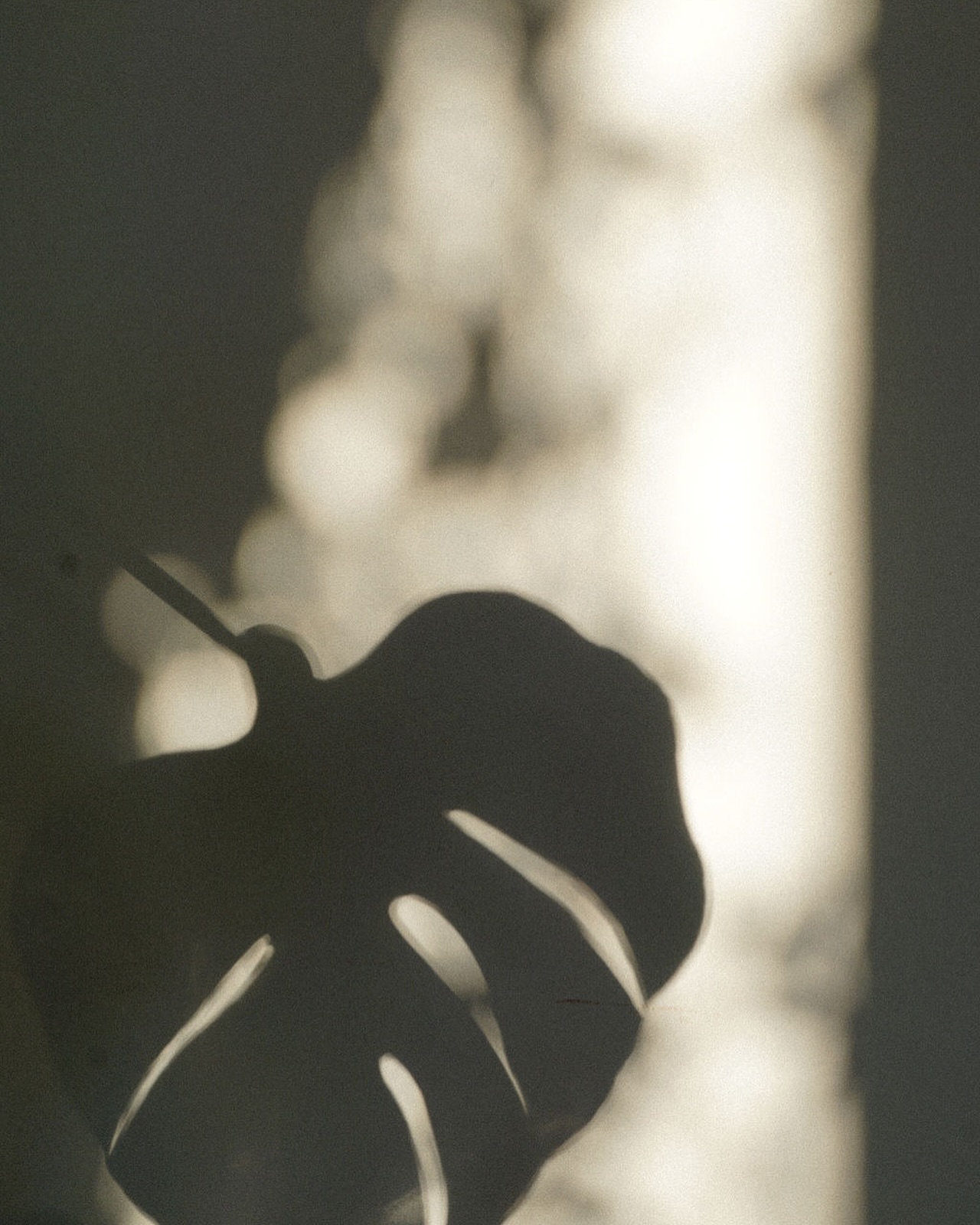 a little shadow play never hurt nobody
#jidaibeauty