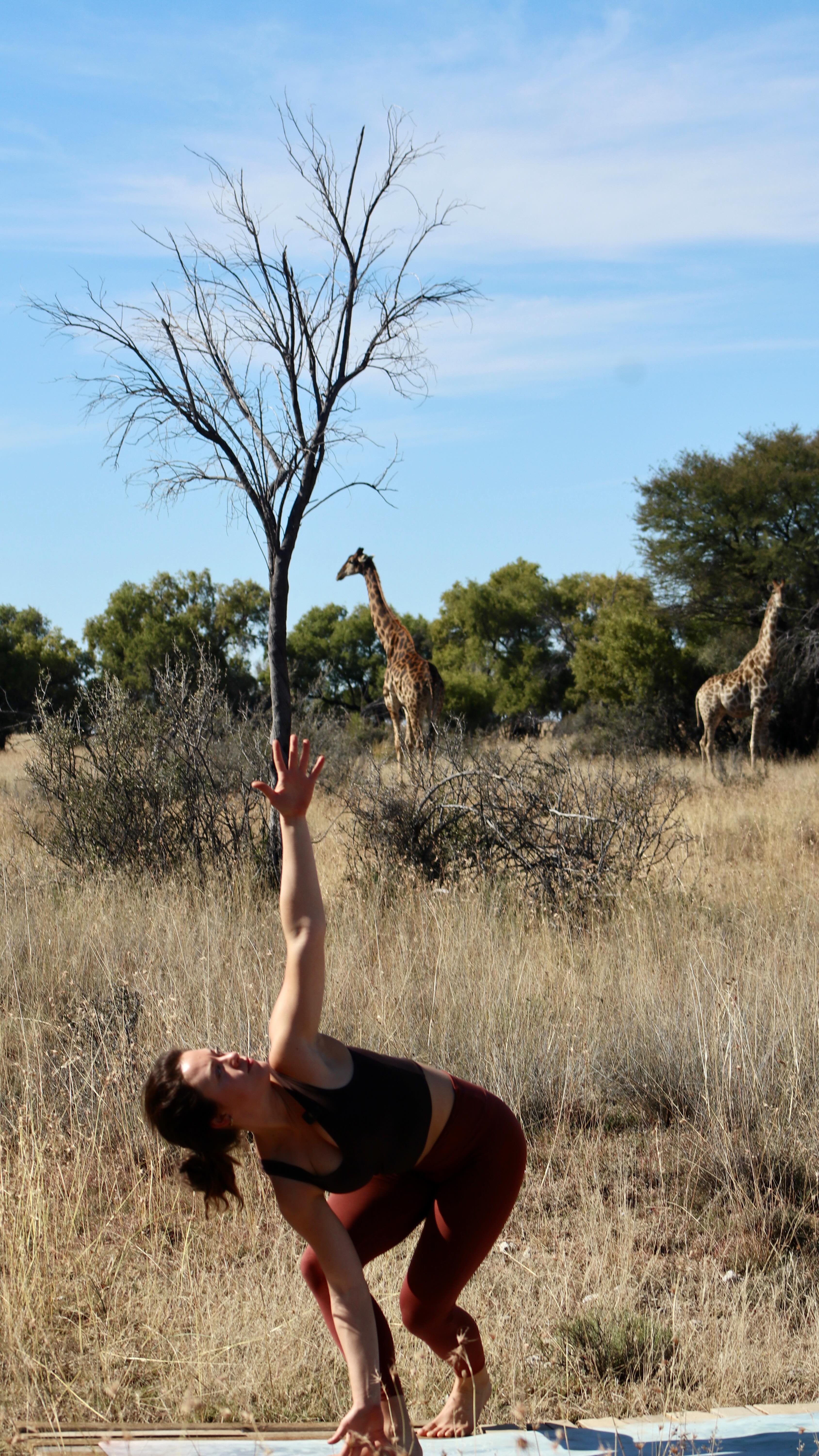 Our giraffe family joining in for morning Vinyasa 🦒🦒🦒
#Yoga
#yogaretreat
#wildlife
#safari