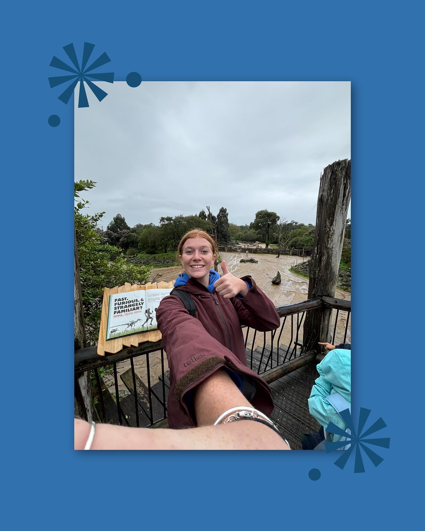 Our Children’s workers have loved supporting school trips & events this term 🐘
Jessiah joined Gulf Harbour School on their trip to the Zoo & Ellen at Red Beach Schools cross Country 🏃🏽♂️
