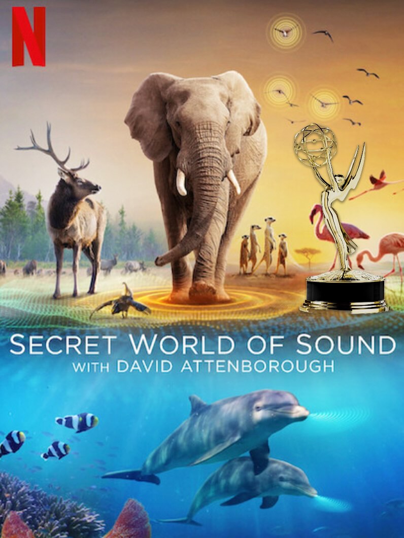 Over the Moon to wake up this morning and find out that the Camera team for “The Secret World Of Sound with David Attenborough” had WON an EMMY 🏆🏆🏆 for Outstanding Cinematography !!!!! 🎥🐬🐬🐬 I was lucky enough to film the Dolphin sequences for this amazing documentary produced by the fantastic team at Humble Bee Films. Massive respect goes out to the edit team that really champion the footage in a way that it gets considered for some of these prestigious awards. Filmed on Red in my Gates underwater housing with help from the crack team at Bimini Scuba Center @rebeccahartmedia @humblebeefilms @netflix @davidattenborough #dolphins #dolphin #bottlenose #emmy #emmywinners #craterfeeding #scuba #swimwithdolphins #underwatercameraman #emmy