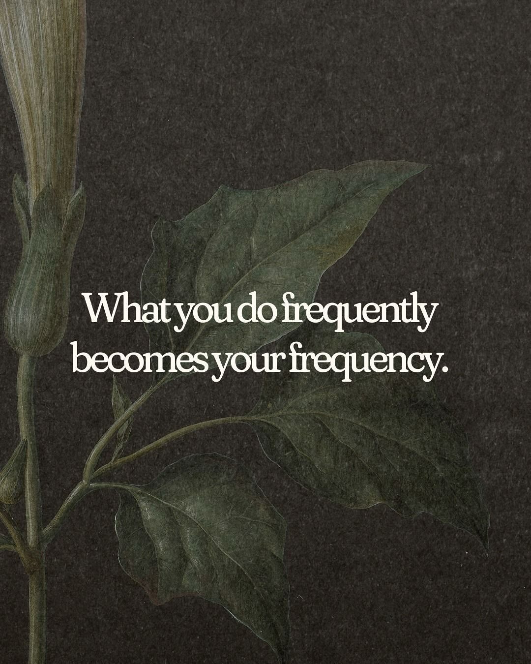 What do you do to nourish yourself?
I’ll go first…
I journal to untangle my thoughts and clear the noise when life feels full.
I soak in long, candlelit bubble baths when I need solitude.
I move my body every day in ways that feel good, right now that’s a mix of weight training, barre, yoga, walking and running.
I take one phone-free, screen-free day each week where no one can reach me and in that disconnection, I create space for a deeper connection to myself.
Most mornings, I meditate to create a soft space between my triggers and my responses, so I can move from intention, not impulse.
Some days, I only manage one of these things and that’s enough. Because even a little self-nourishment is better than running on empty.
What do you do to nourish yourself? Would love to hear in the comments below! 🕊️