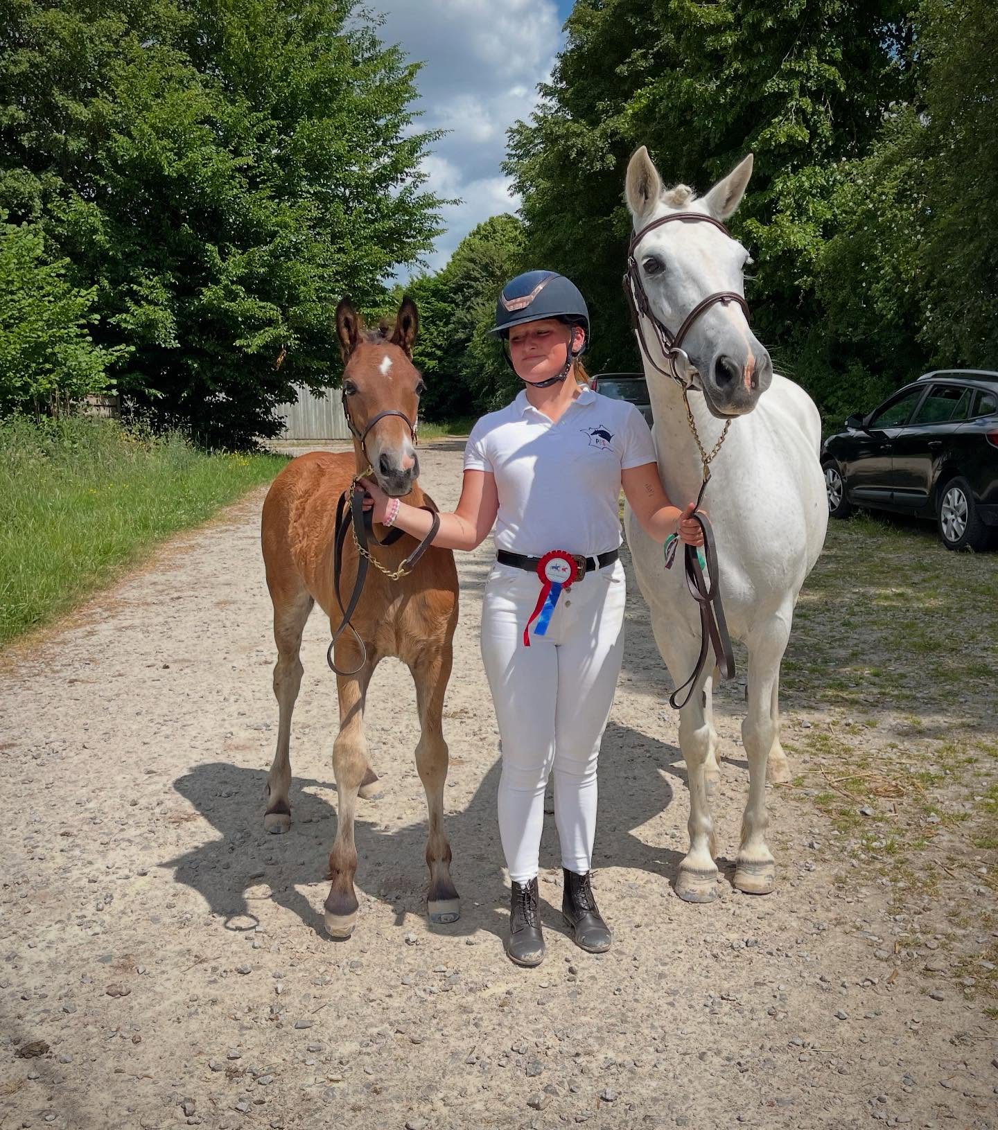 Petite Étoile de JIMA (SWYN BARRADE X DEXTER LEAM PONDI), était se lundi 2 juin en modèle et allures France Dressage, elle se qualifie pour le national avec elle une bonne moyenne de 78,5% et une très belle note de 8,5/10 pour le trot 🤩
Elle suis la lancée de son frère utérin Mabar de JIMA ✨