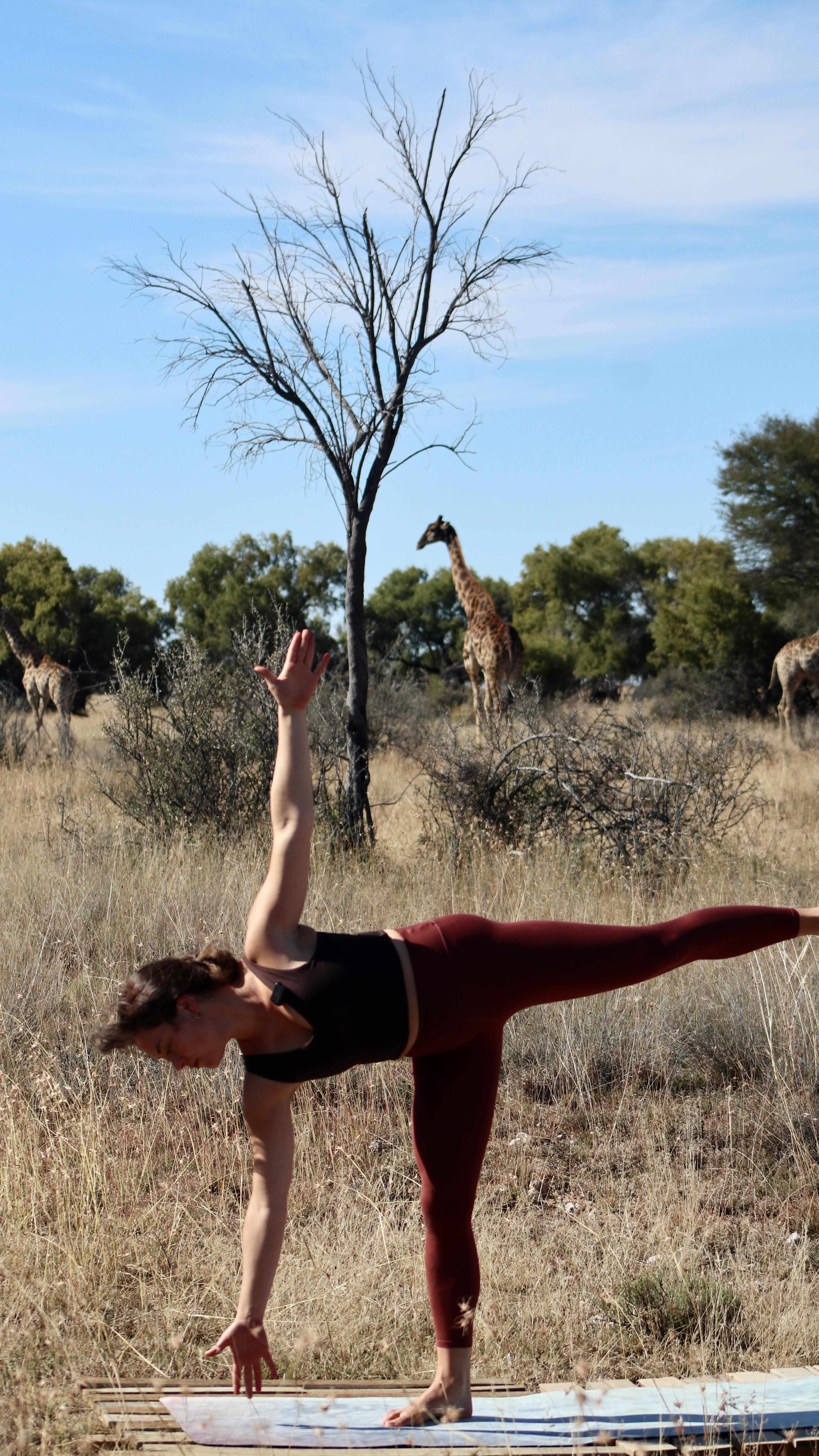 Lizard. One of my favourites. With so many variations it’s a challenge no matter where you are at.
Part 2 in our tight hips & hamstrings series. Enjoy ❤️