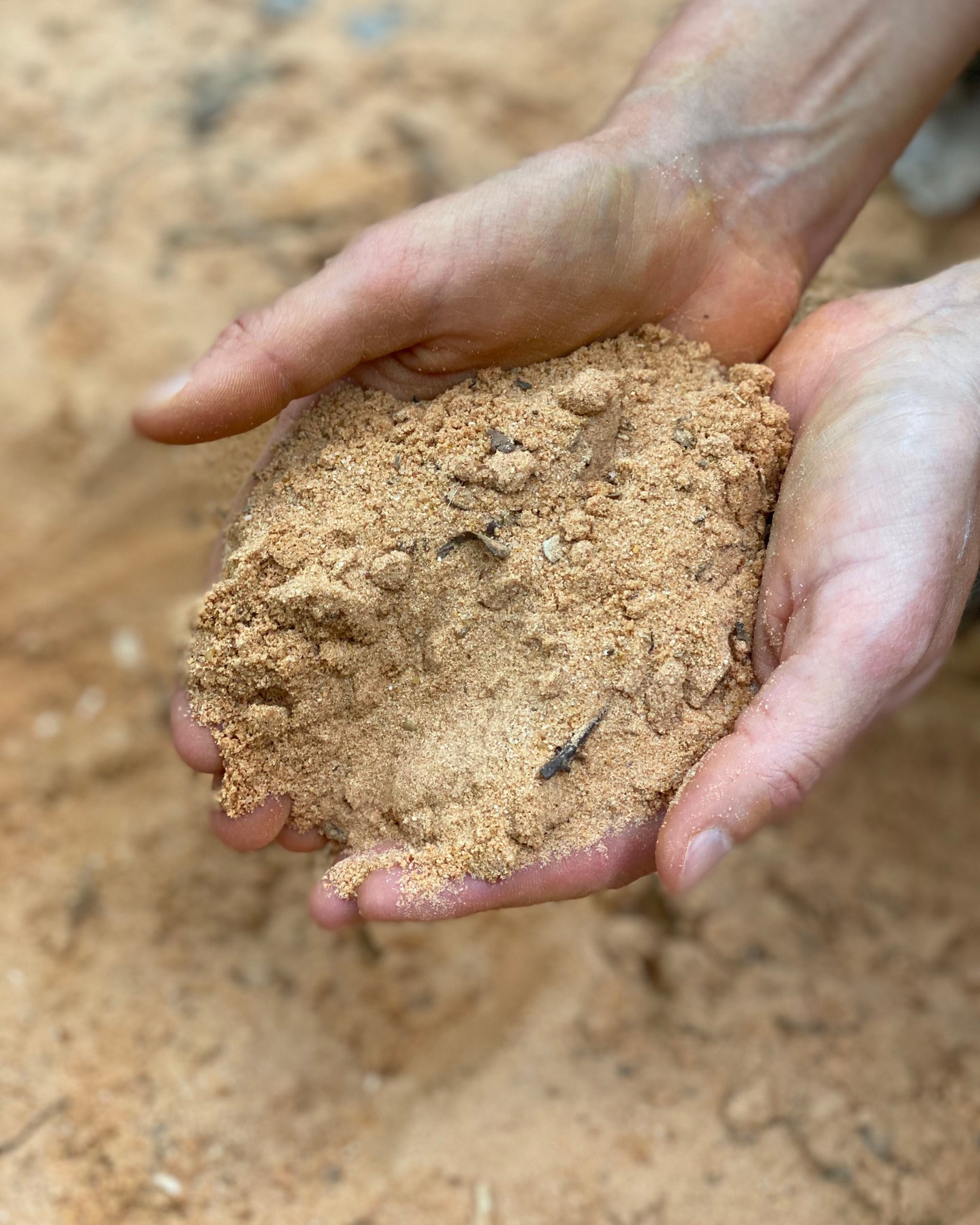 Depuis plus d'un an maintenant, je glane et transforme sables, cendres, roches et argiles ramassés en Drôme et Ardèche. Broyées, tamisées, parfois lavées plusieurs fois, ces matières minérales vont donner du relief dans la terre que je tourne ou bien vont entrer dans la composition de mes émaux. Une longue phase de tests et cuissons est nécessaire avant d'aboutir à des résultats probants.. mais la quête est si passionnante.
.
.
.
#ceramique
#grès
#ceramiquedrome
#tablewear
#stonewarepottery
#madeinfrance
#émauxdegrès
#glazes
#ashglaze
#naturalmaterials
#naturalglazes