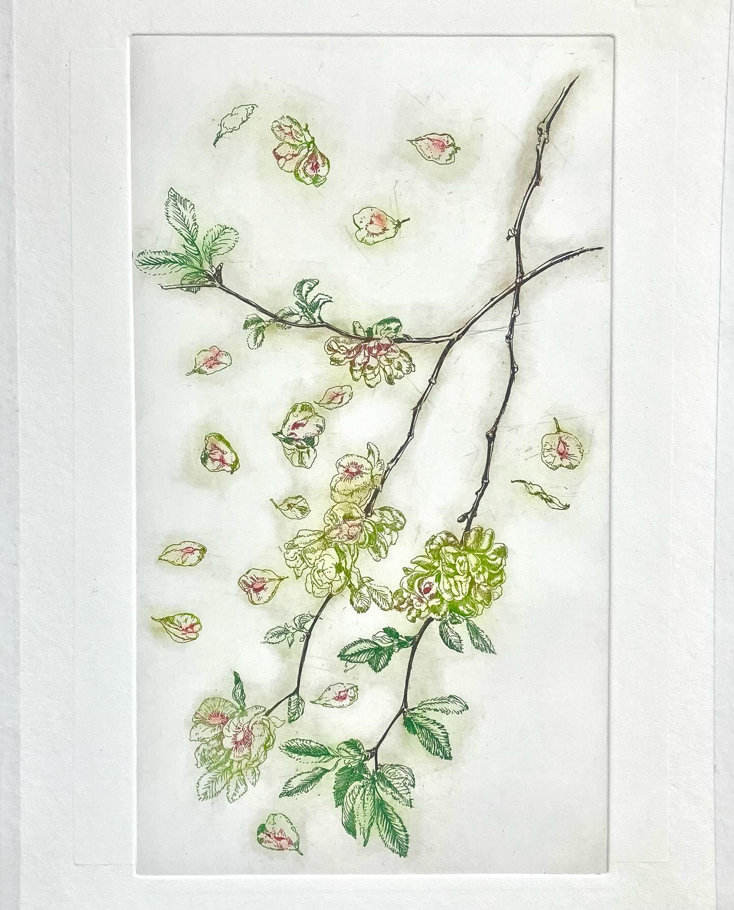 Laatste essay van deze serie. Momenteel werken we aan een boek. Dertig essays over bidden, dromen en dichten. Verschijnt eind september bij uitgeverij Skandalon. Voor nu zie hier onze zwanenzang. Schattig opgemaakt door Mariëlla Conen. hppts://digitaal.kn.nl #katholieknieuwsblad #skandalonuitgeverij #insectprint #sealife #printmaking #etching #figuredrawing #classicdrawing #blackandwhitedrawing #engraving #largeetching #penandink #seascapedrawings #fromlifeonly