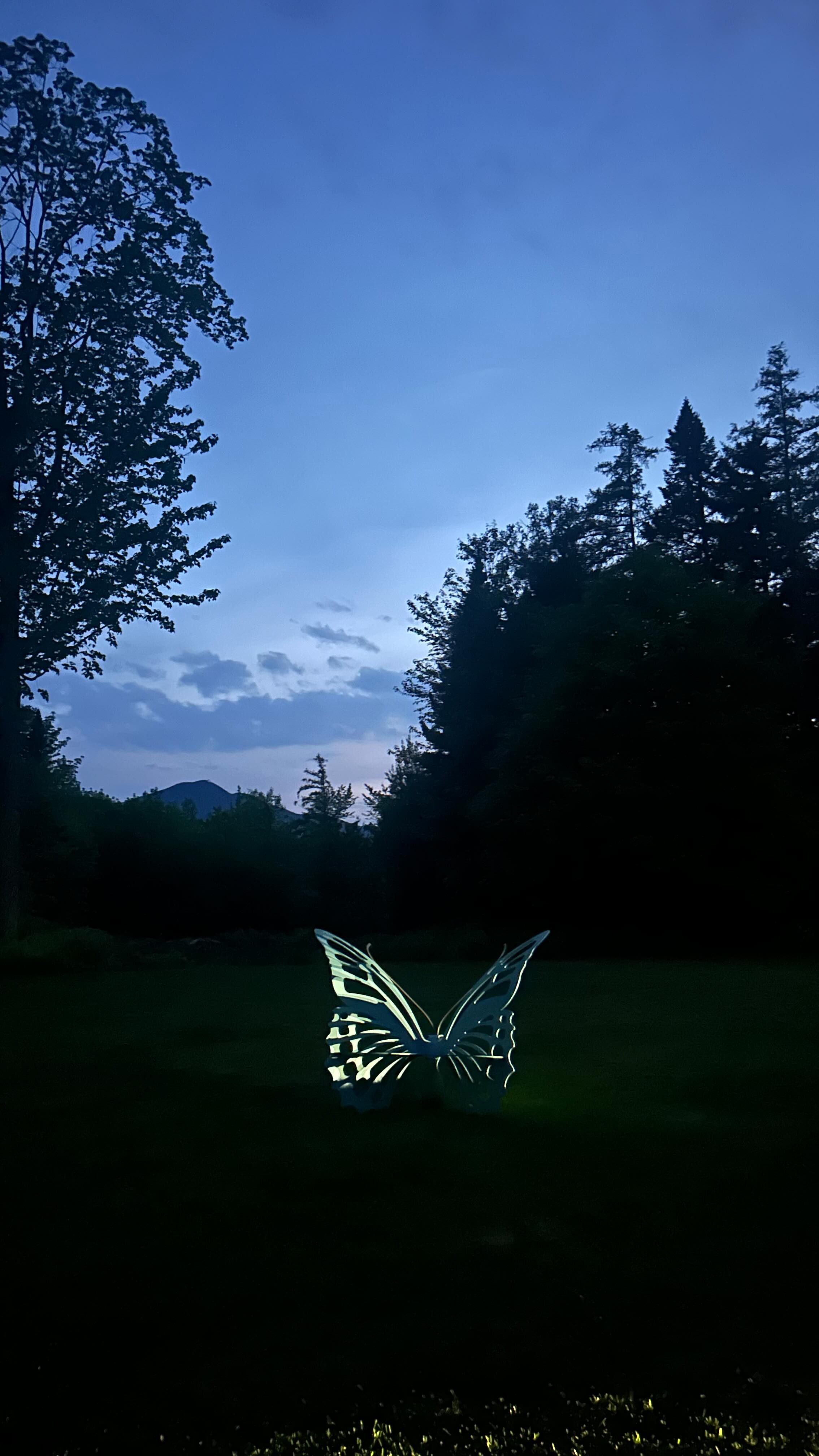 June 5, 2025. We gathered to remember and celebrate Norah’s life on her 18th birthday. We love and miss her so much. I know she was watching from heaven.