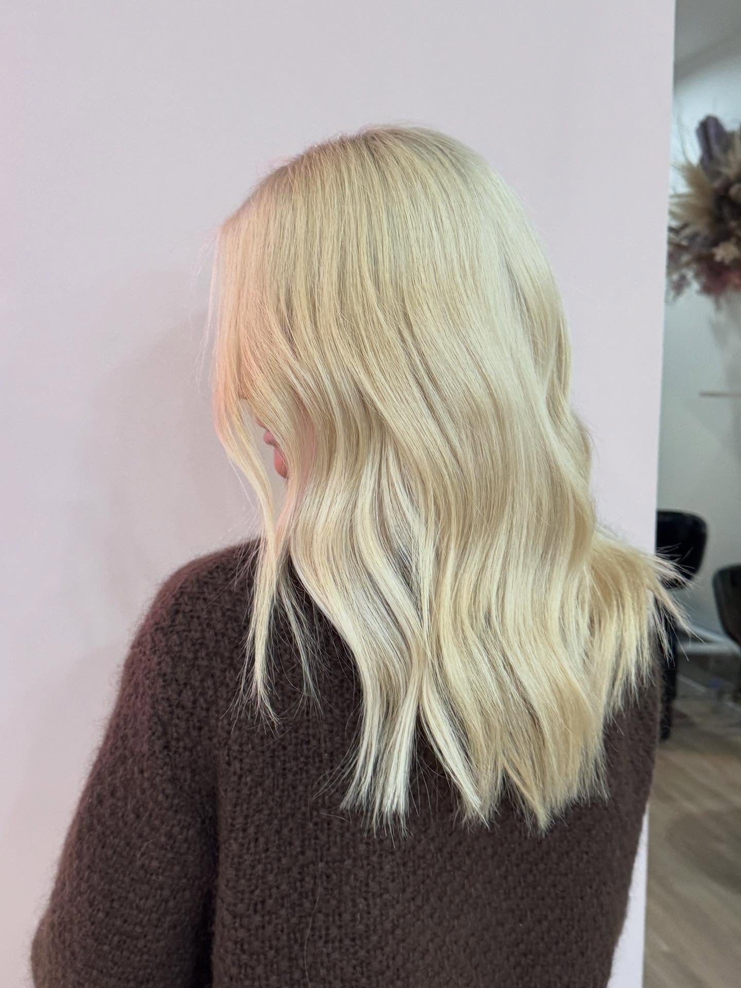 ⭐️Buttery Blonde ⭐️