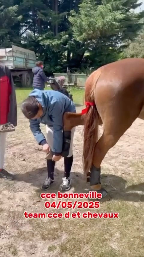 👉🏻Dimanche 4 mai, la team CCE poney D et chevaux était à BONNEVILLE. Une belle journée avec de beaux parcours et de beaux résultats pour nos cavaliers. 😀
club 1 : Marion E. et Adibou 8eme🏅
club 3 : Marion B. et Irish 9 eme 🏅
Poney Élite : Ines et Eletop 8è
Poney 2 : Esther et Twitter 4 eme , Esther et Jalan 7è