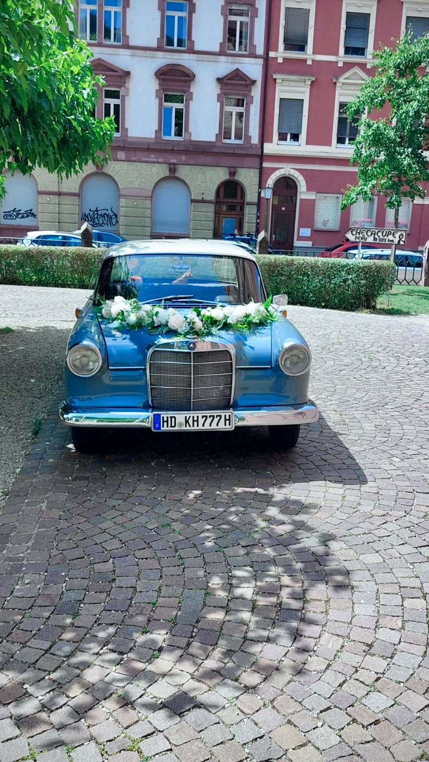 📸🚗 Heute im Einsatz: Unser wunderschöner Mercedes W 110 „Heckflosse“ als Hochzeitsauto! 💍❤️
Bei strahlendem Sonnenschein durfte dieses elegante Schmuckstück heute ein glückliches Brautpaar ins gemeinsame Glück begleiten. ☀️👰🤵
Wir wünschen den beiden von Herzen alles Gute für ihre Zukunft und viele unvergessliche gemeinsame Momente. 💐✨
Heiratet ihr 2025?
Wir haben noch freie Termine – sichert euch jetzt euren Klassiker für den großen Tag! 📅🚘
👇 Jetzt anfragen und Termin sichern! 👇
📩 Direktnachricht schreiben oder über den Link in der Bio buchen!
#Heckflosse #MercedesW110 #Hochzeitsauto #OldtimerLiebe #Brautauto #WeddingCar #KlassikerMitStil #Heiraten2025 #Hochzeitsinspiration
#deinbrautauto
