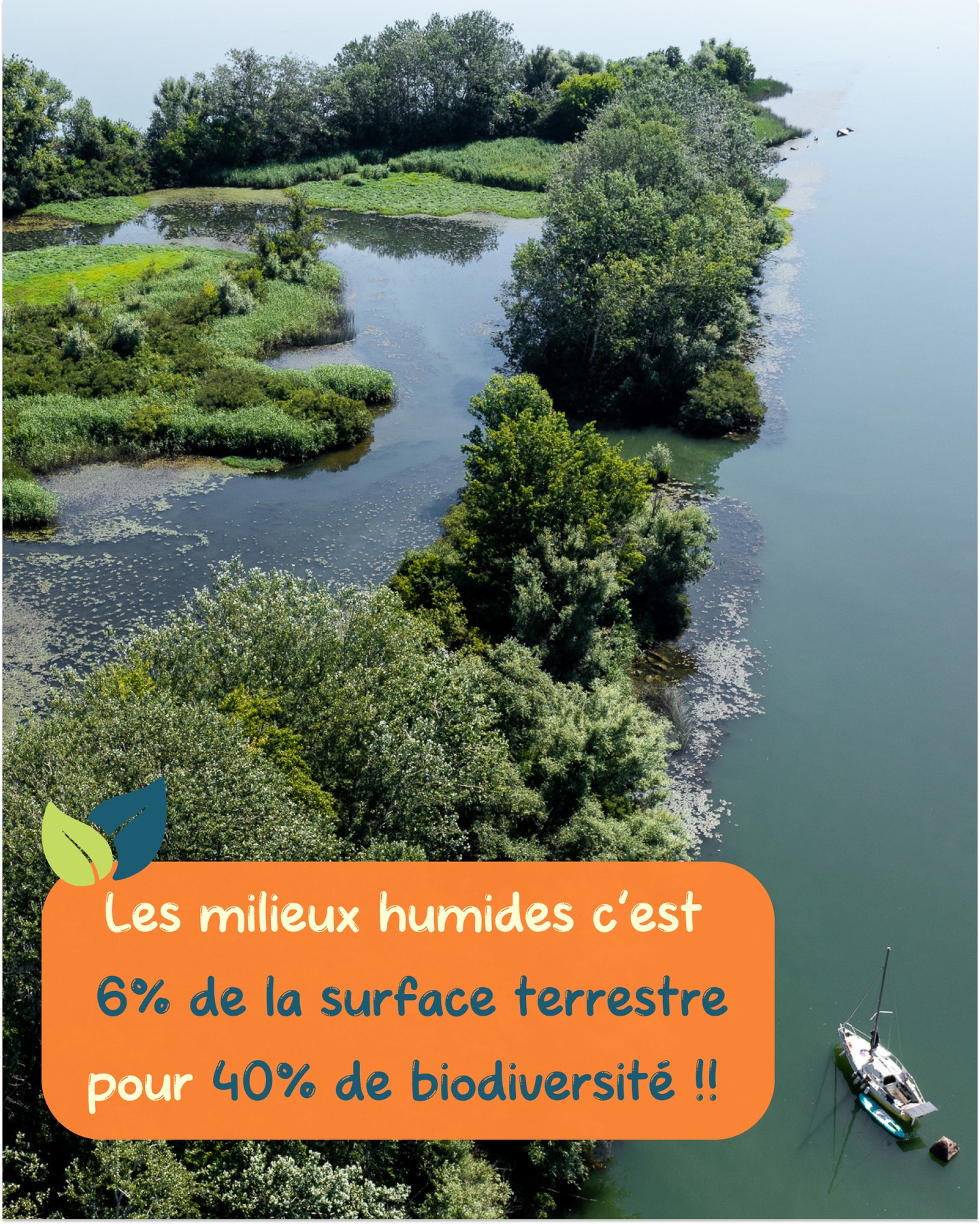 Les zones humides représentent 6% de la surface terrestre pour 40% de biodiversité. C'est énorme !!
Depuis quelques siècles, ces milieux disparaissent, pourtant, ils sont les puits de carbone les plus efficaces de la planète.
Malheureusement, dès qu'ils sont asséchés, ils libèrent tout le CO2 stocké.
On assèche ces endroits pour cultiver de façon intensive, de plus le dérèglement climatique participe à cet effet...
Moins de 20% de ces endroits sont protégés, alors redonnons leur de la visibilité !!
#danube #expédition #zonehumide #deltadudanube #slowtravel #sailingboat