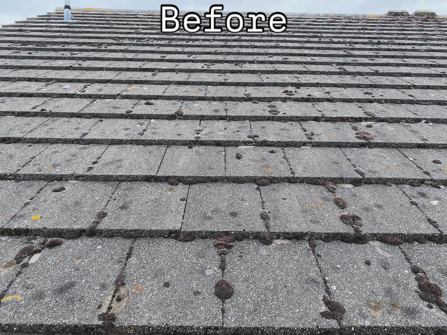We always recommend a biocide treatment for long term results. This will make sure to get into all the nooks and crannies. #roof #cleaning #scrape #cleaneating #scraping #maintenance