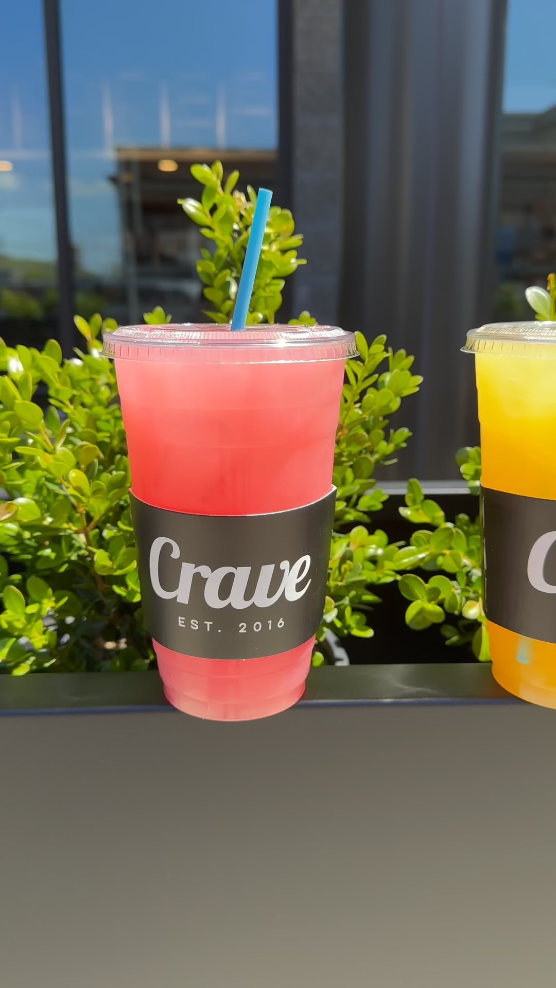 ☀️ Summer Lemonades Are Back! 🍋
Get ready to sip into summer! our refreshing lemonades are back and better than ever!
🍓 Strawberry
🍑 Guava
🥭 Mango
🌴 Passion Fruit
Perfectly sweet, ice-cold, and made to brighten your day. Swing by and grab your favorite (or try them all)!