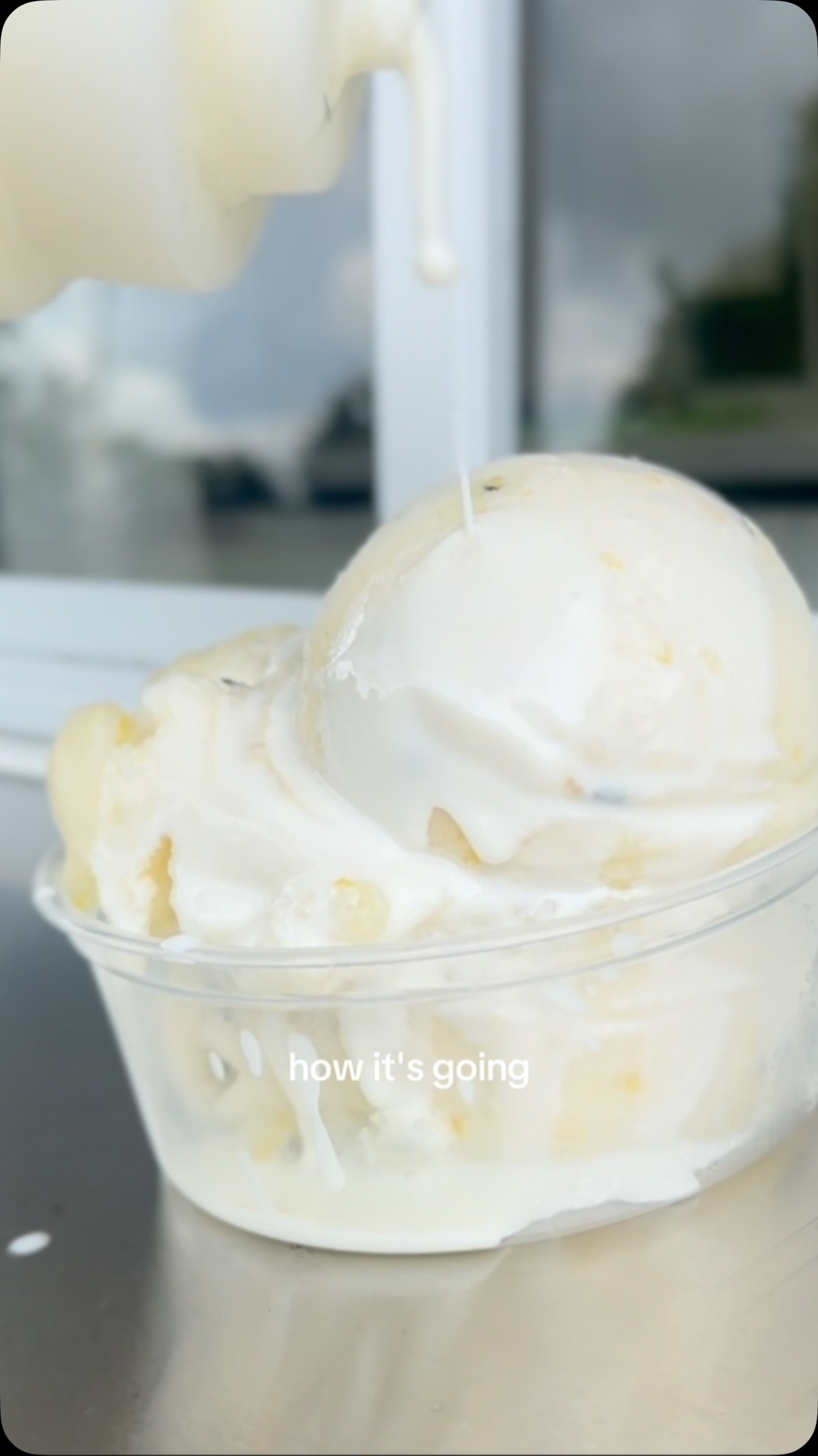 Loopy Lemon Thyme ๐ค๐