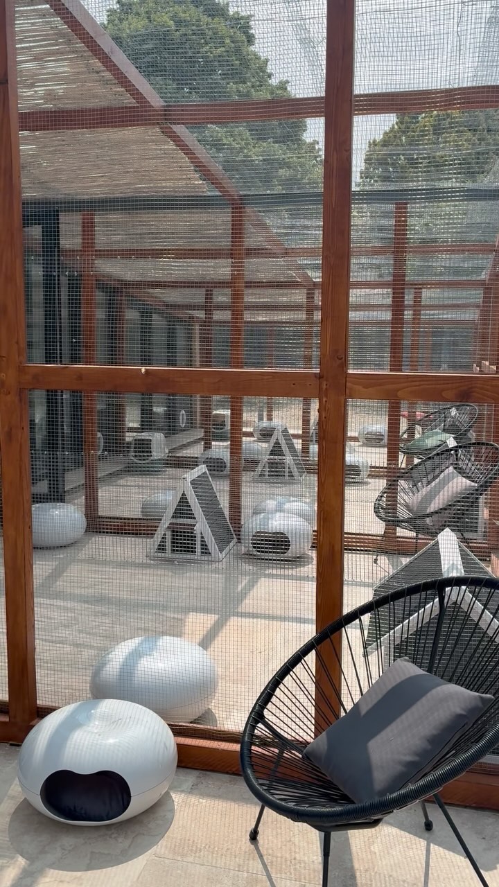 Votre hôtel pour chat est ouvert 🎉
Quelle joie de pouvoir enfin le dire 🤩
Ce fut beaucoup de travail et d’attente alors nous espérons que vous en serez ravis et que vos chats seront heureux lors de leurs séjours 🐱
#larecreduchat #petsitter #chat #aixenprovence #hotelpourchats #pensionpourchats #hotelpourchat #passionchat #aixmaville #letholonet