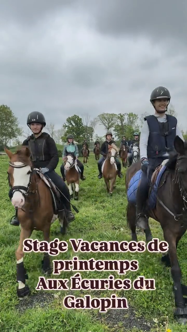 🗺️ Stage de printemps au centre équestre du Galopin à Brazey-En-Plaine, pour nos cavaliers CCE et loisirs.
Une très belle semaine bien remplie, on ne peut pas tout mettre sur une seule vidéo 😅 Nos cavaliers ont pu se perfectionner en dressage, saut d’obstacle, cross, travail à pied, et ont aussi profité de la piste de galop et des beaux extérieurs le long du canal.
Un grand merci aux centre équestre du Galopin pour l’accueil au top. Et merci à tous ceux qui ont permis de mettre en place au dernier moment ce stage.