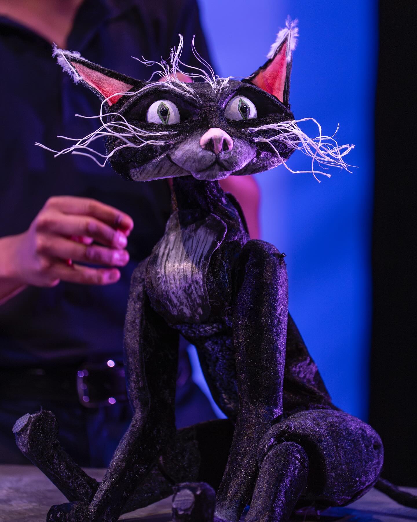 Meet the kooky nocturnal creatures from #Krafty The Urban Fox, now open at @littleangeltheatre. Puppets designed by me & made by @alison.puppets
Performed by the amazing @_elliottb and @el_clarkeo
📸 @elliekurttzphoto
#puppet #puppets #puppetry #puppetdesigner #puppetdesign #puppetmaking #puppettheatre #kraftytheurbanfox #urban #fox #foxpuppet #hedgehog #cat #catpuppet #bat #bats #owl #owlpuppet #catsofinstagram #theatre #theatredesign #theatredesigner #tya #theatreforyoungaudiences #littleangeltheatre #foxesofinstagram #batsofinstagram #owlsofinstagram