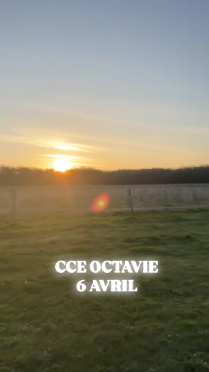 🏹 Retour sur le CCE d’Octavie du 6 avril ☀️ Un beau concours avec le soleil, bravo à tous nos cavaliers 💪
🥉CLUB 1 : 3è Marion/ADIBOU
CLUB 2 : 7è Marlène/SOMERSBY
🏅PONEY ELITE : 4è Inès/ELETOP
🥇PONEY 1 : 1er Alice/MARIO, 4è Ambre/HORS BORD
🥇PONEY 2 : Chloé/TWITTER
🥇PONEY 3 : 1er Esther/JALAN
🔜 Stage Lamotte