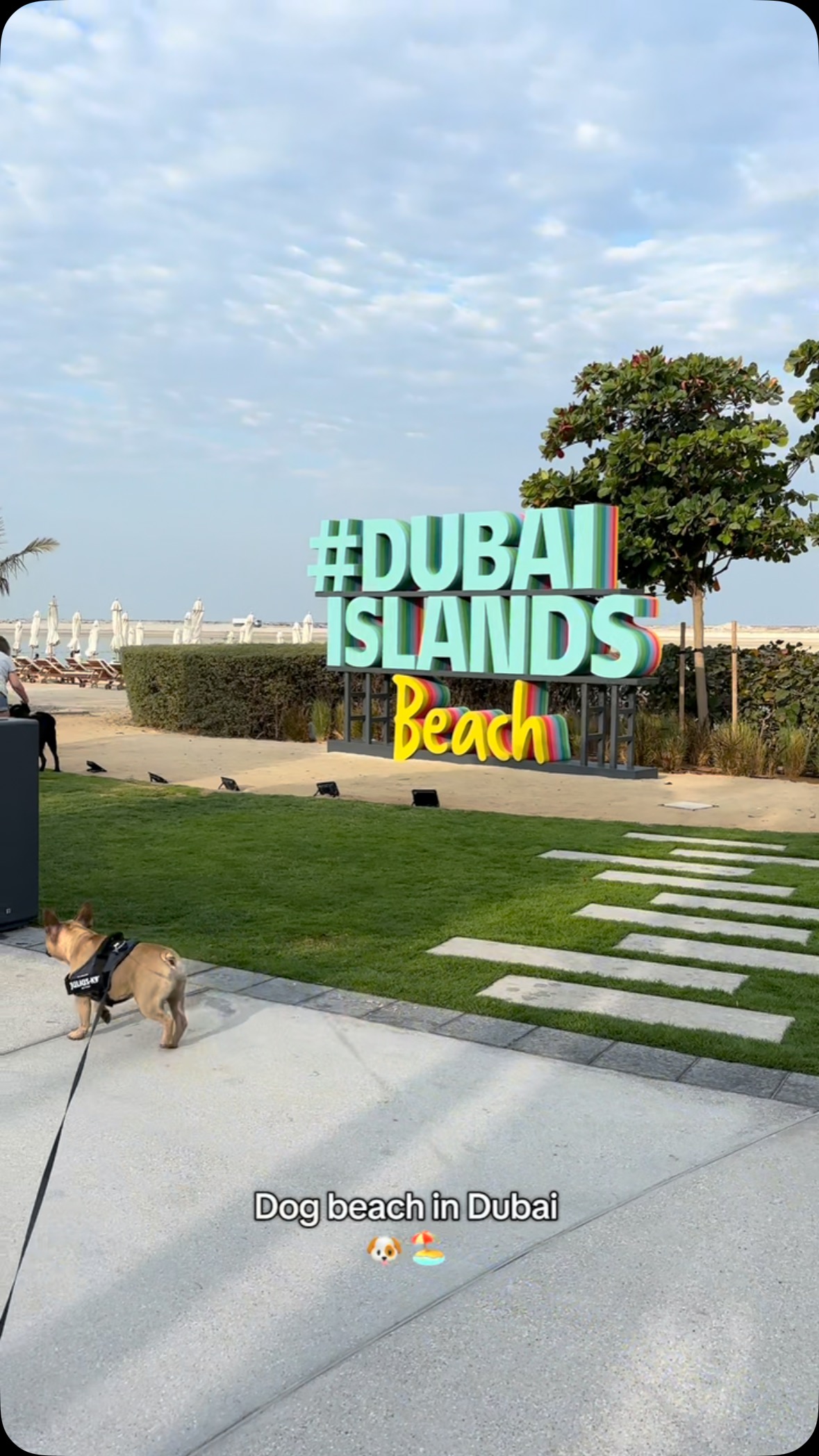 Dog mom in Dubai? You have to try this pet friendly beach 🐶🏖️
#dubai #dubailife #dogsofinstagram #dubaiislands #dogbeach #dubailifestyle❤️🇦🇪 #dubailife