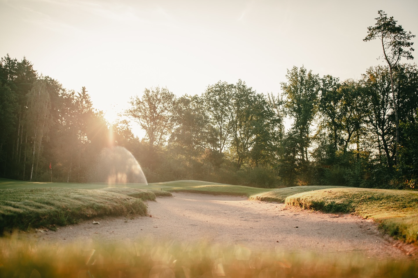 Impressionen vom Golfplatz.
#golf #vechta #golfplatz #golfimnorden #golfphotography #golflife #golfdeutschland #golfcourse #golfclub #oldenburgermünsterland