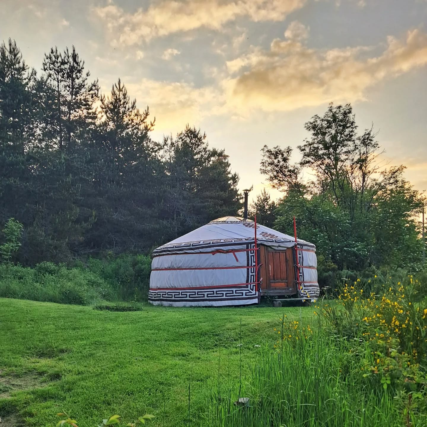 Pour un moment d'évasion. Totale. On se retrouve perdus dans le nature, on se réveille avec le chant des oiseaux. Le monde est derrière. Et presque il n'existe plus. Sauf qu'on se retrouve en douceur, consolés de tant de tristesse. Pour fondre dans la beauté.
#gaia #notreterre #unmondevrai #reconnection #simplelife #memoriesoftruth #rebirth #auclairdelasource #lanarce